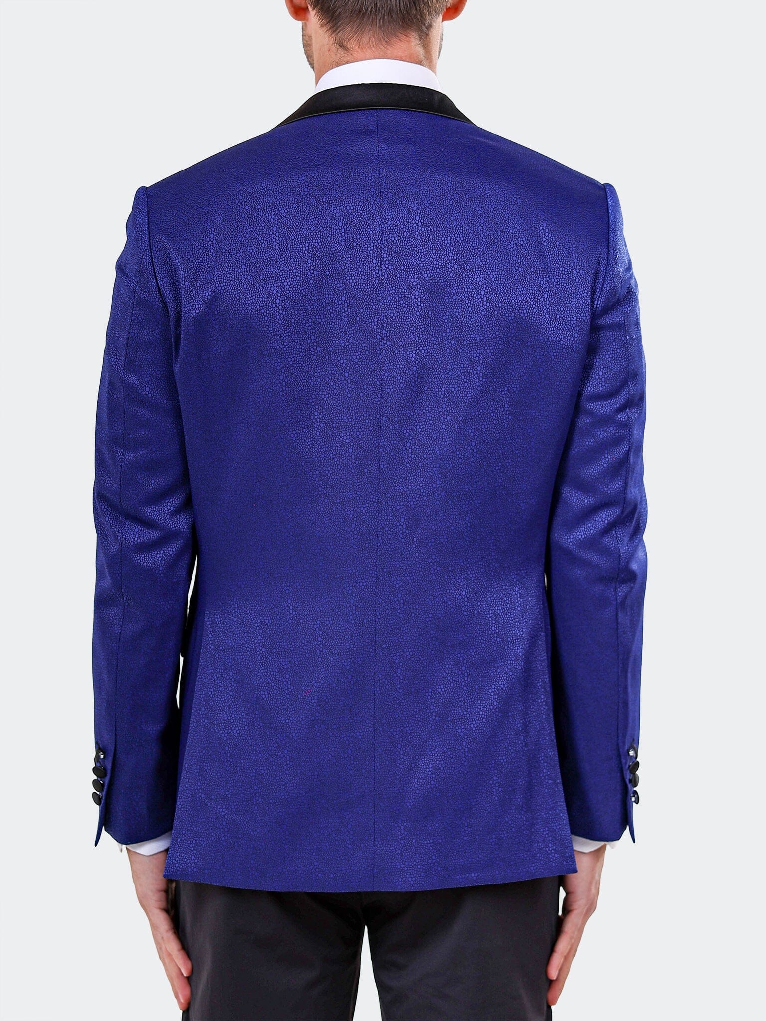 Blazer Tesla Ascension2170 Blue