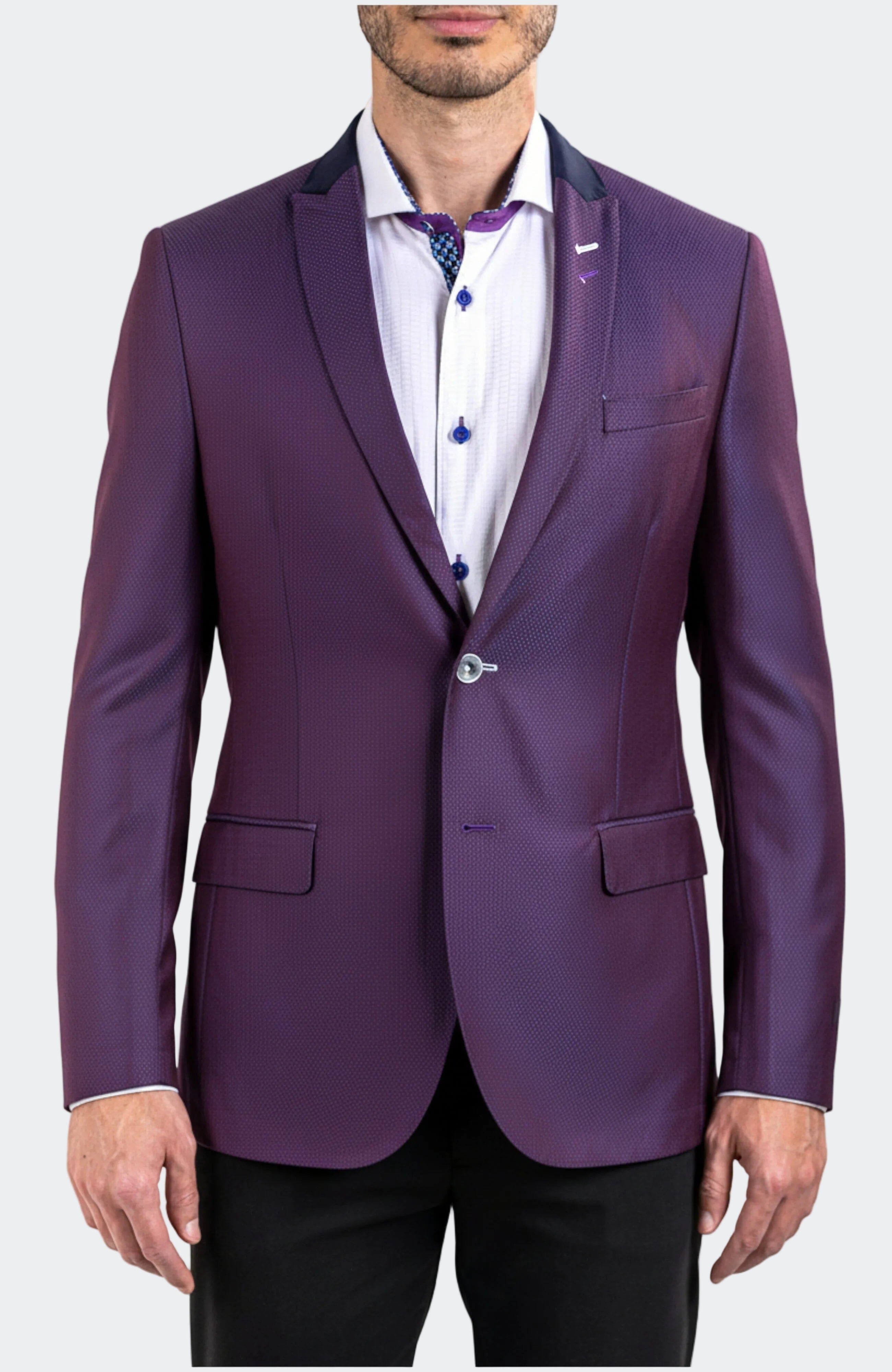 Blazer Descartes Evo Ascension2190 Purple