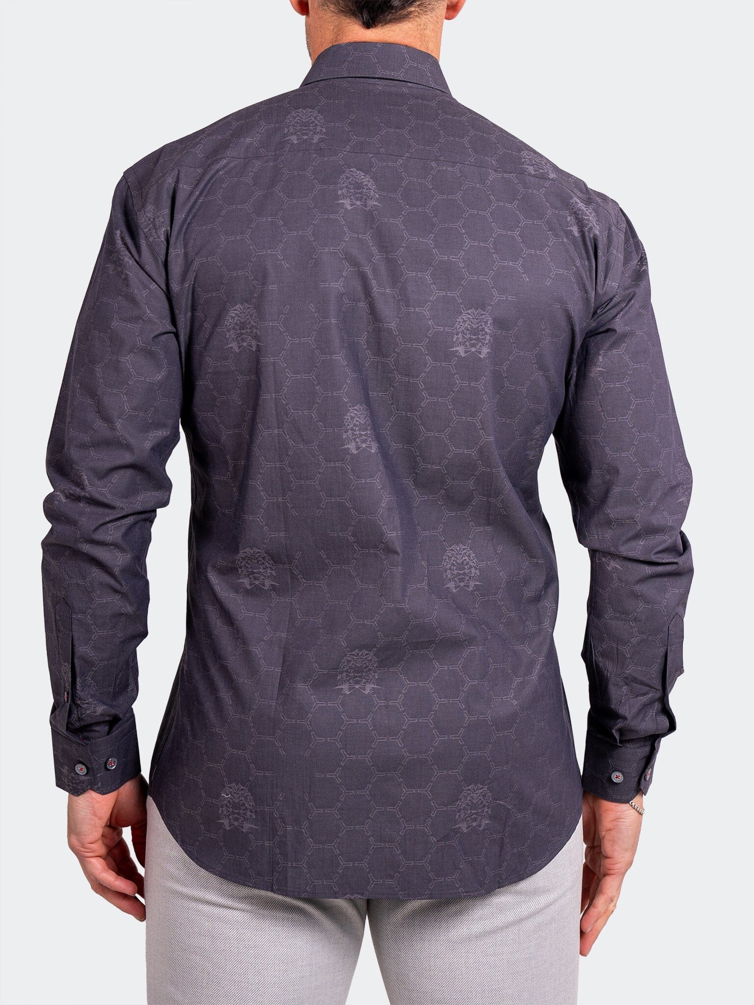 Fibonacci Ascension0096 Grey