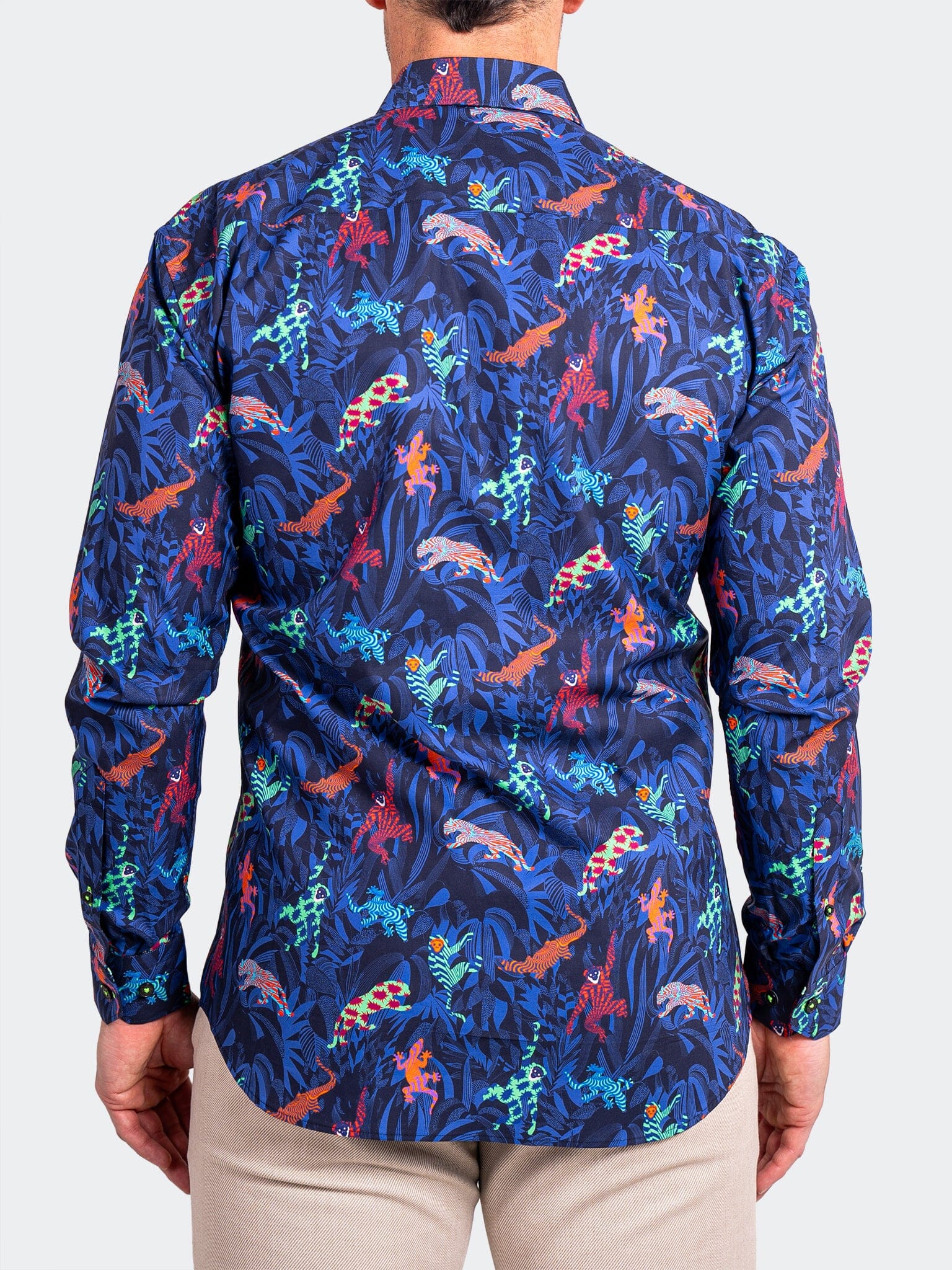 Fibonacci Ascension0213 Blue