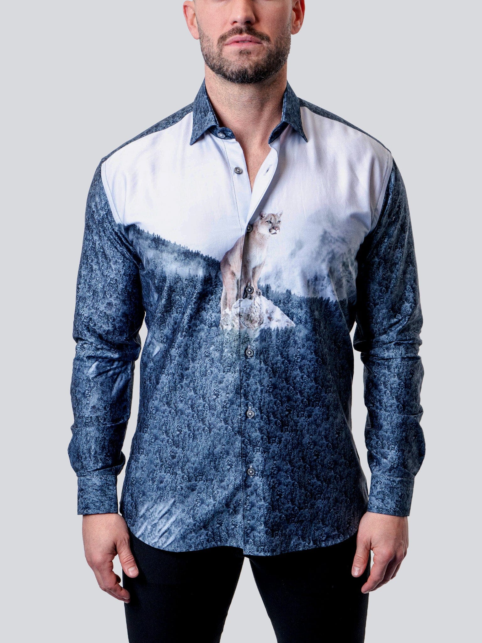 Fibonacci Cougar Blue