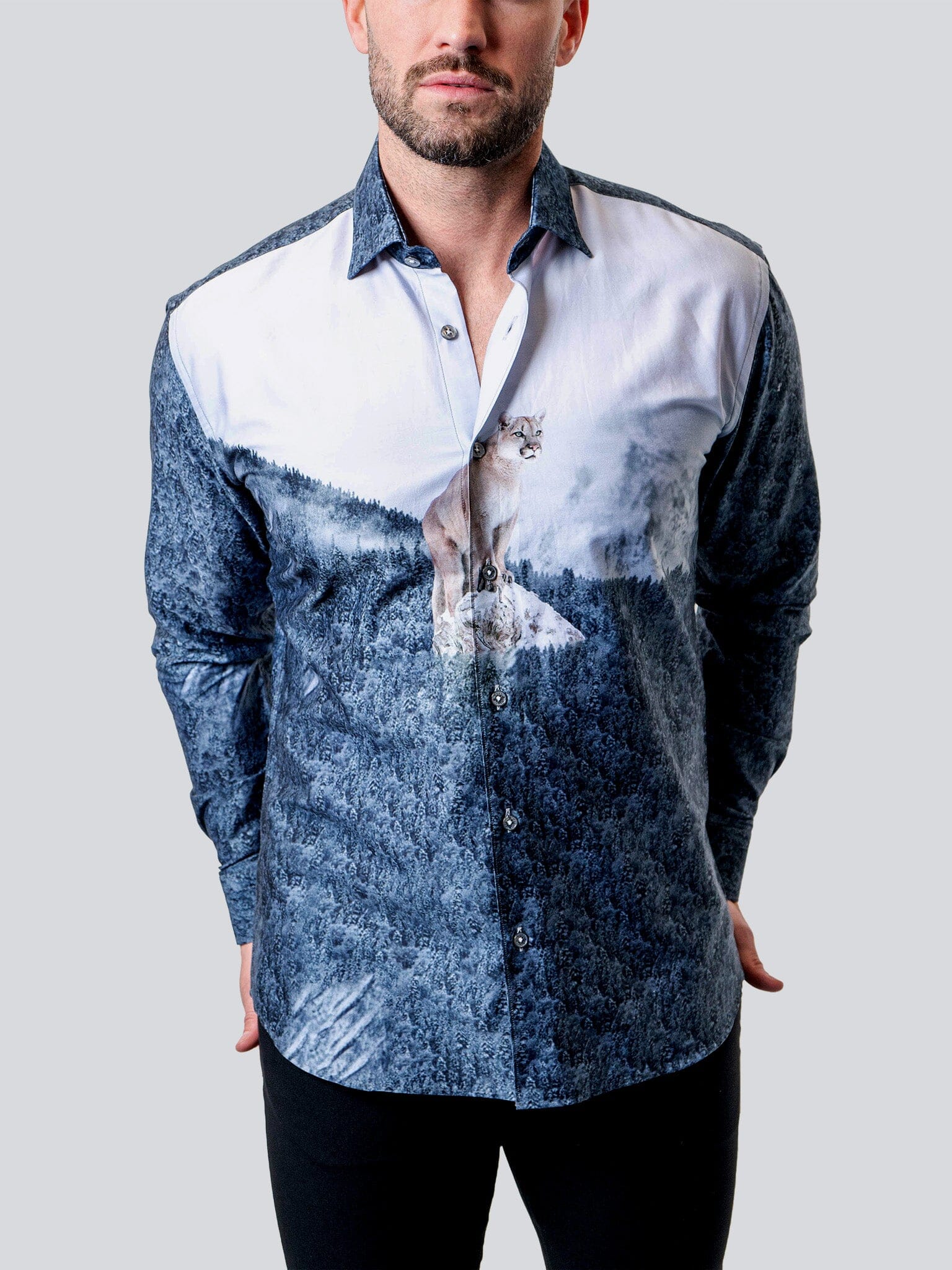 Fibonacci Cougar Blue
