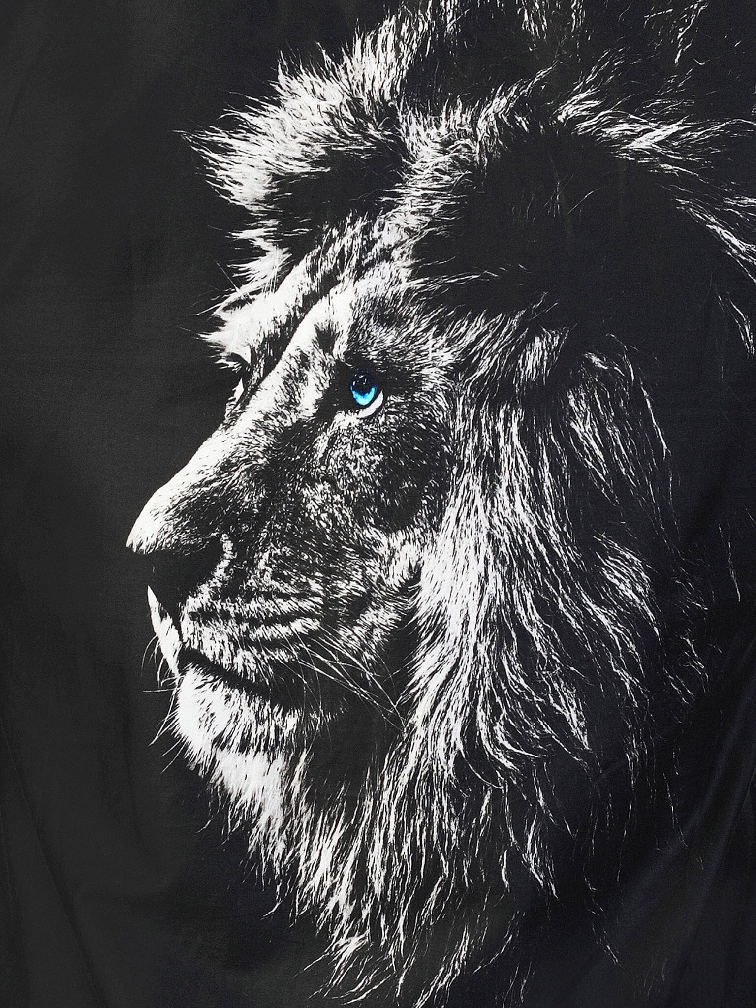 Fibonacci Lion Face Black Shirt