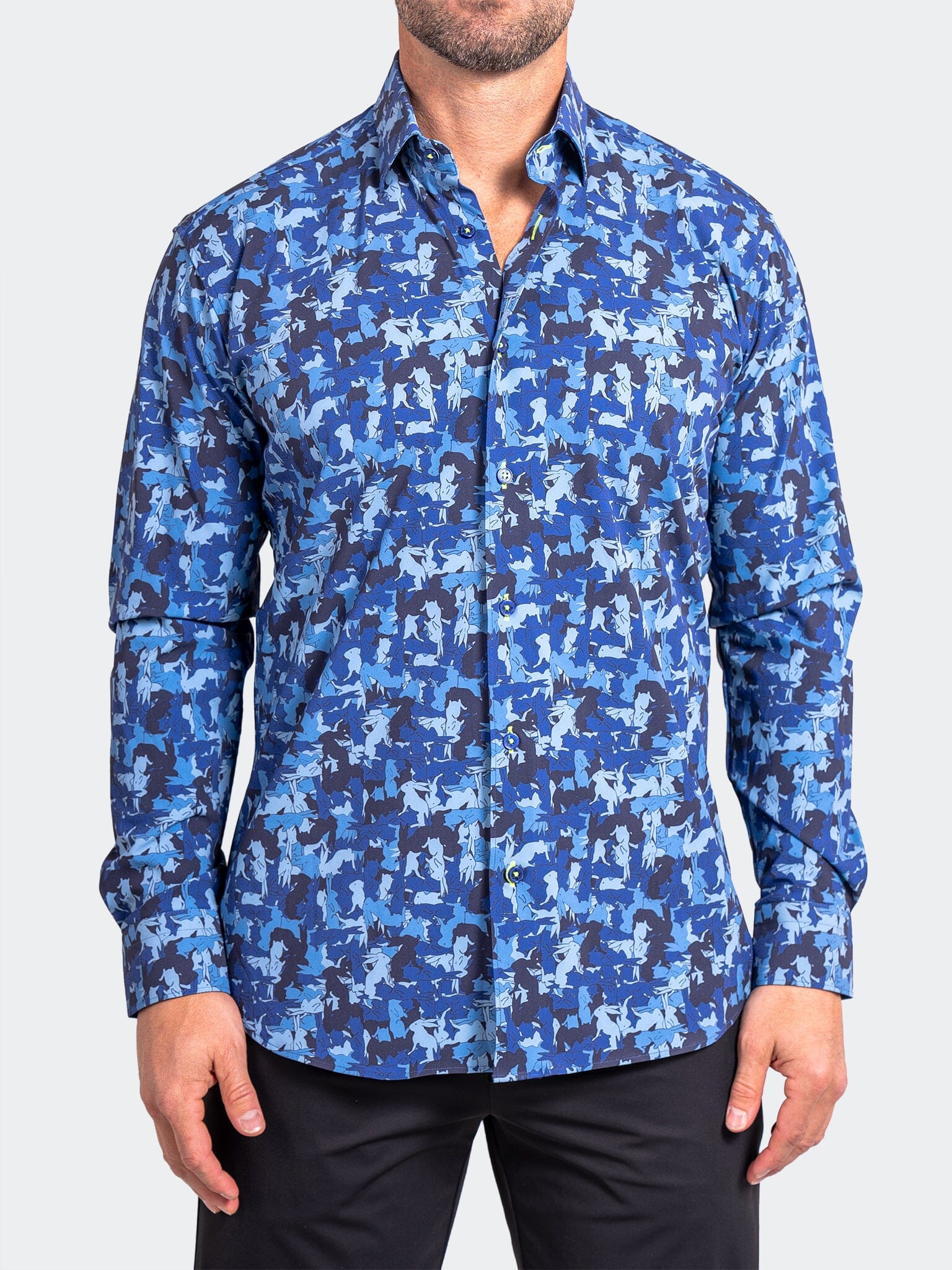 Fibonacci StretchAscension0228 Blue