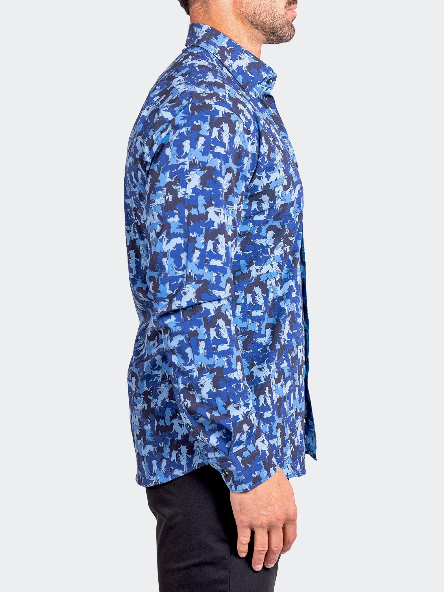 Fibonacci StretchAscension0228 Blue
