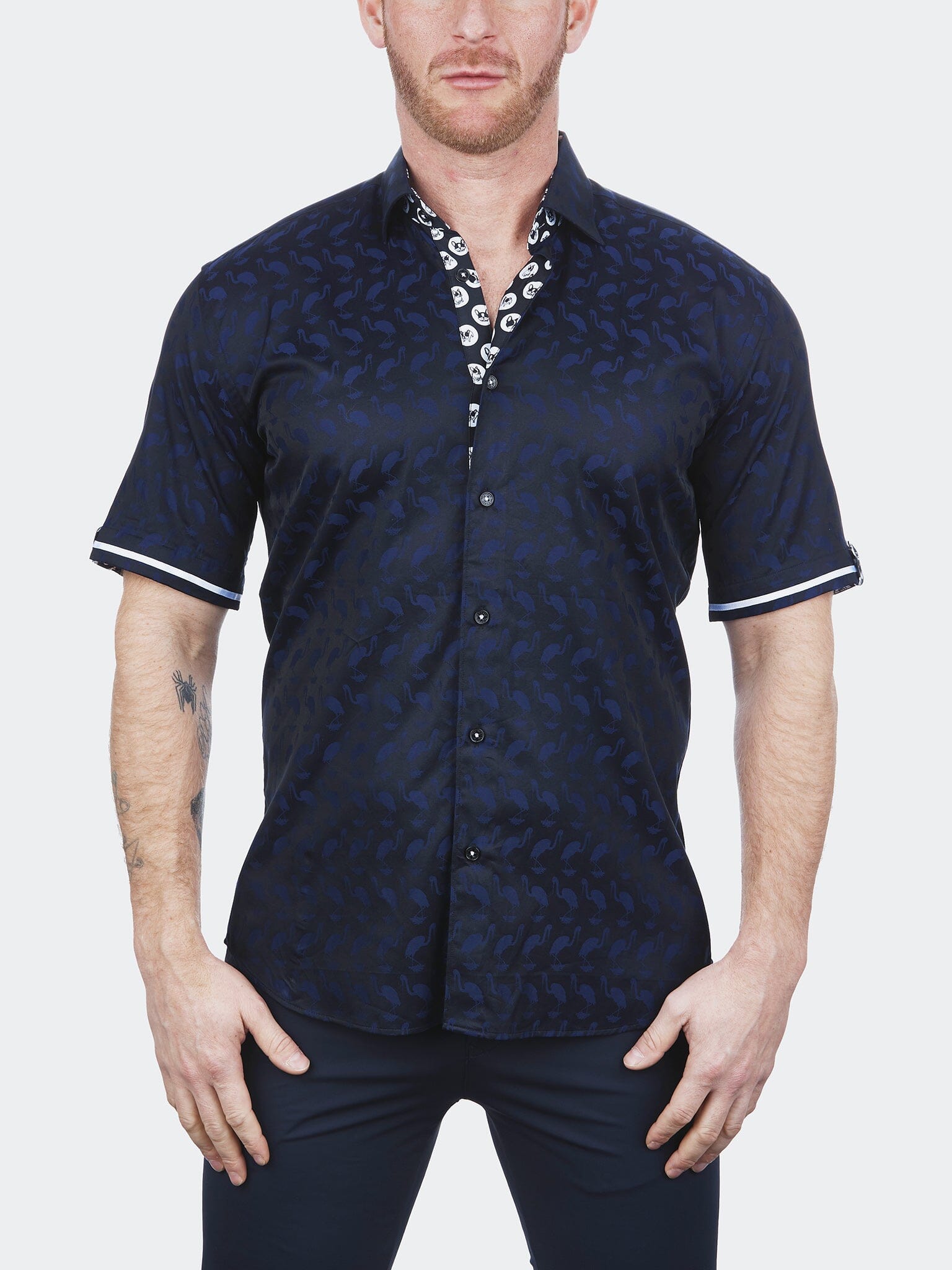 Galileo Flamingo Blue