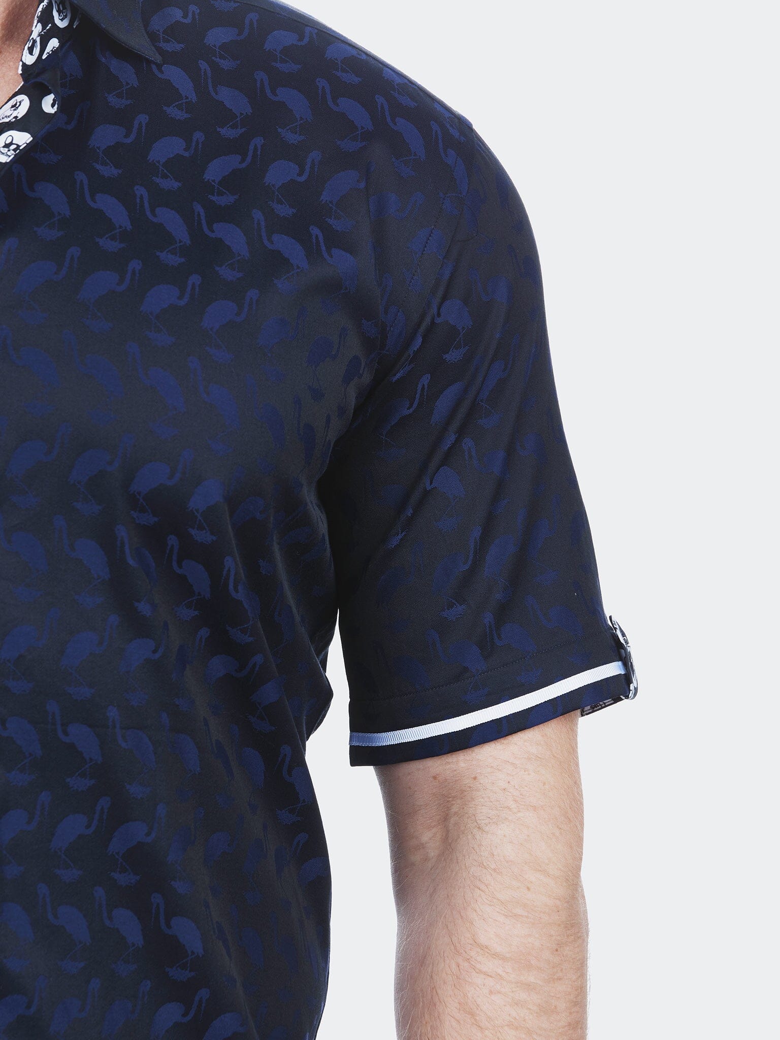 Galileo Flamingo Blue