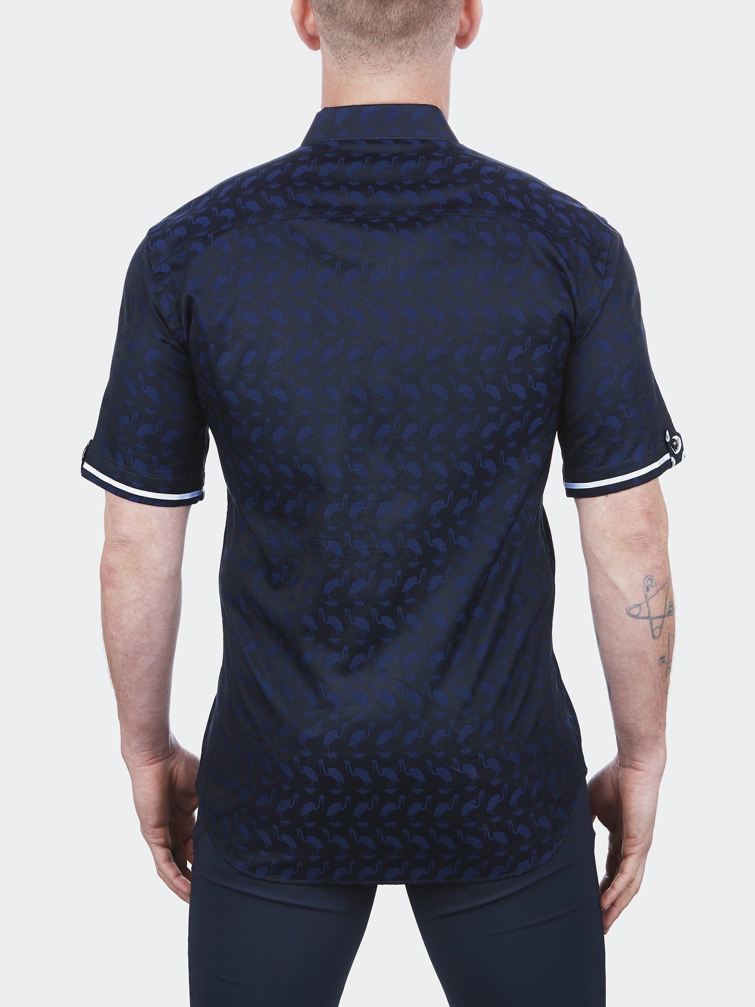 Galileo Flamingo Blue
