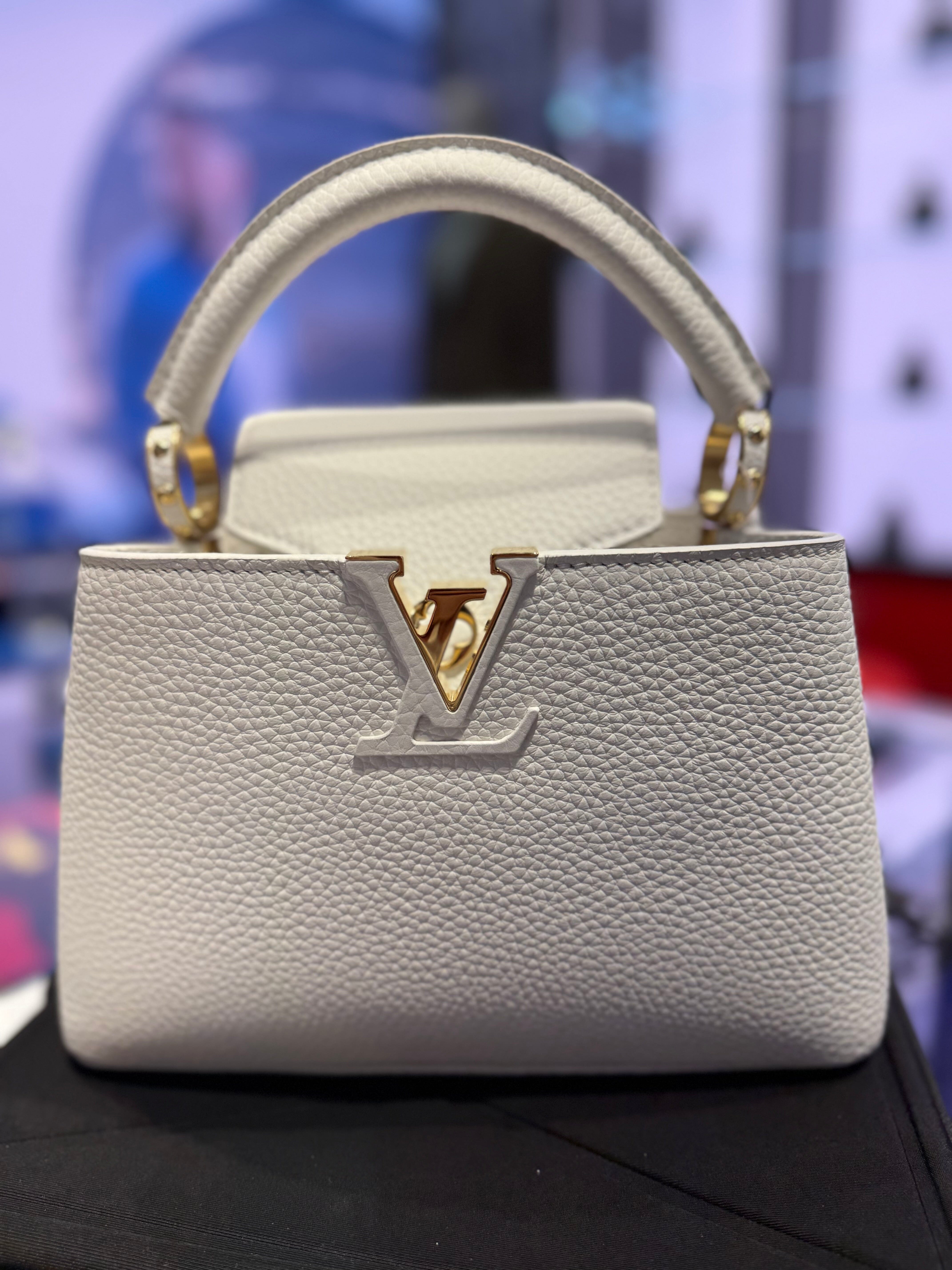 Bag Leather LV Capucines One Size