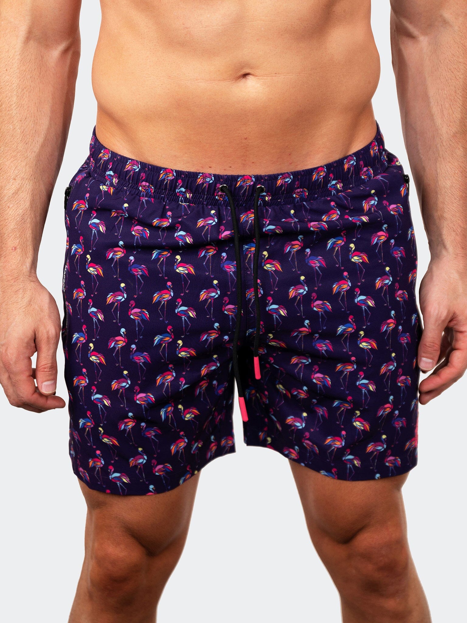 Lion Flamingo Purple Swim Shorts