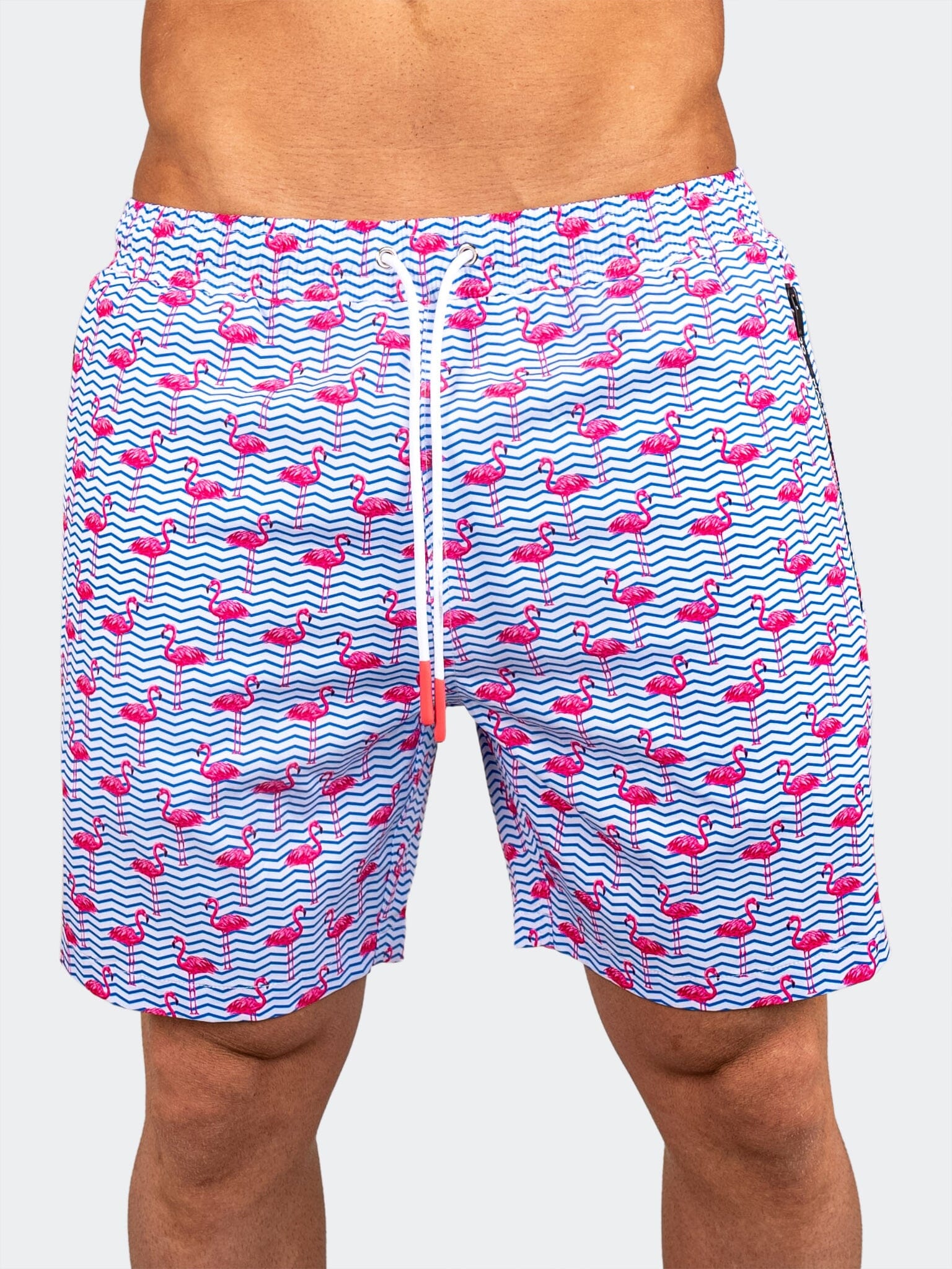 Lion Flamingo Blue Swim Shorts