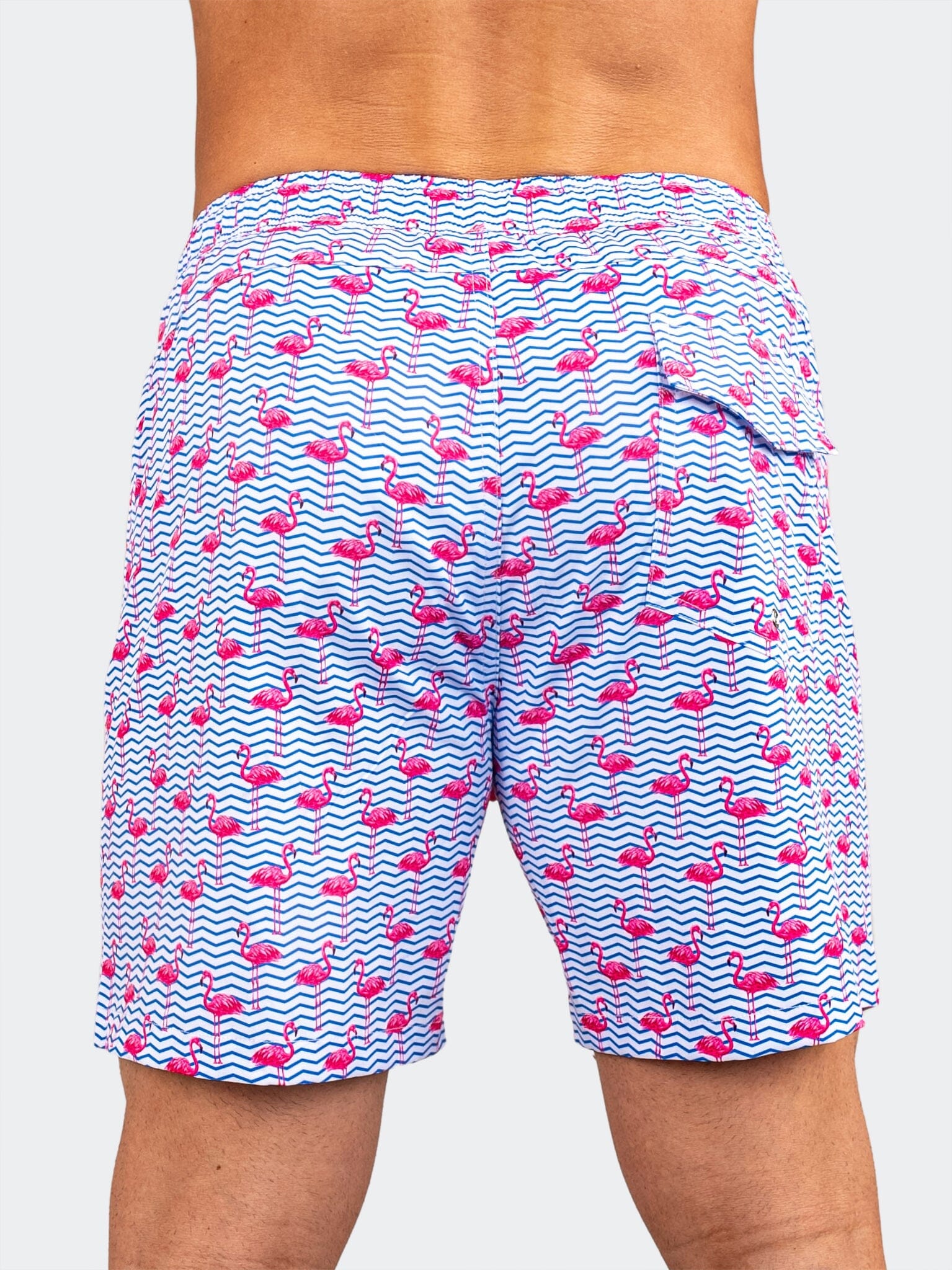 Lion Flamingo Blue Swim Shorts