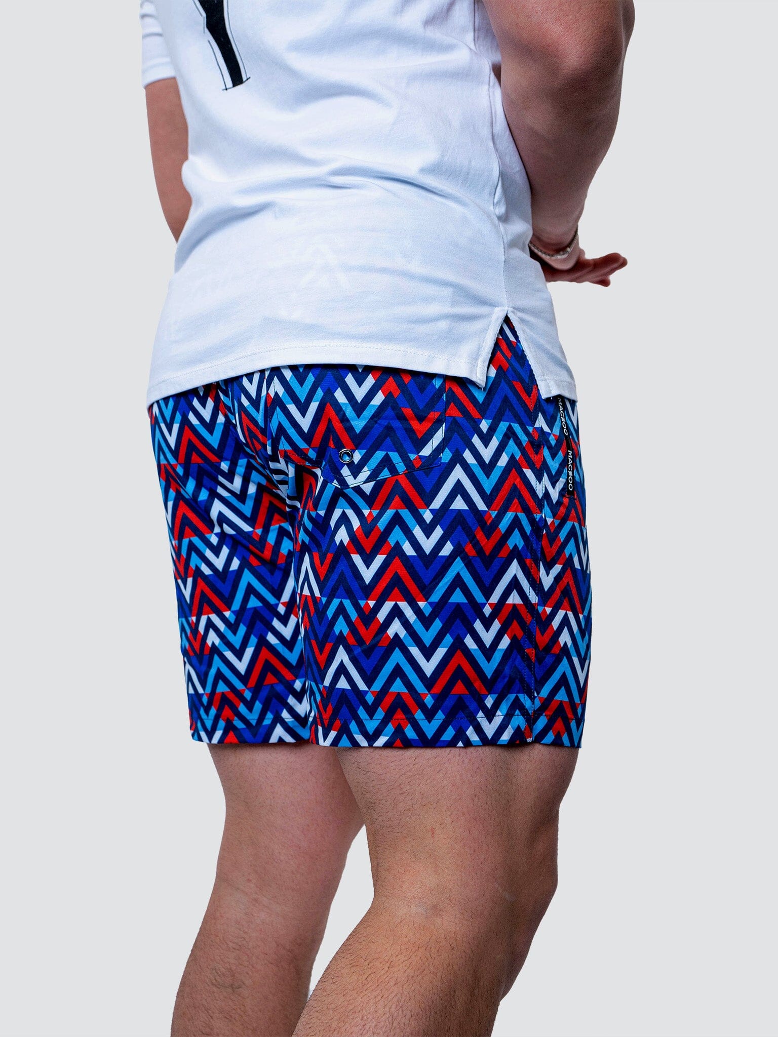 Lion Patriot Multi Swim Trunks