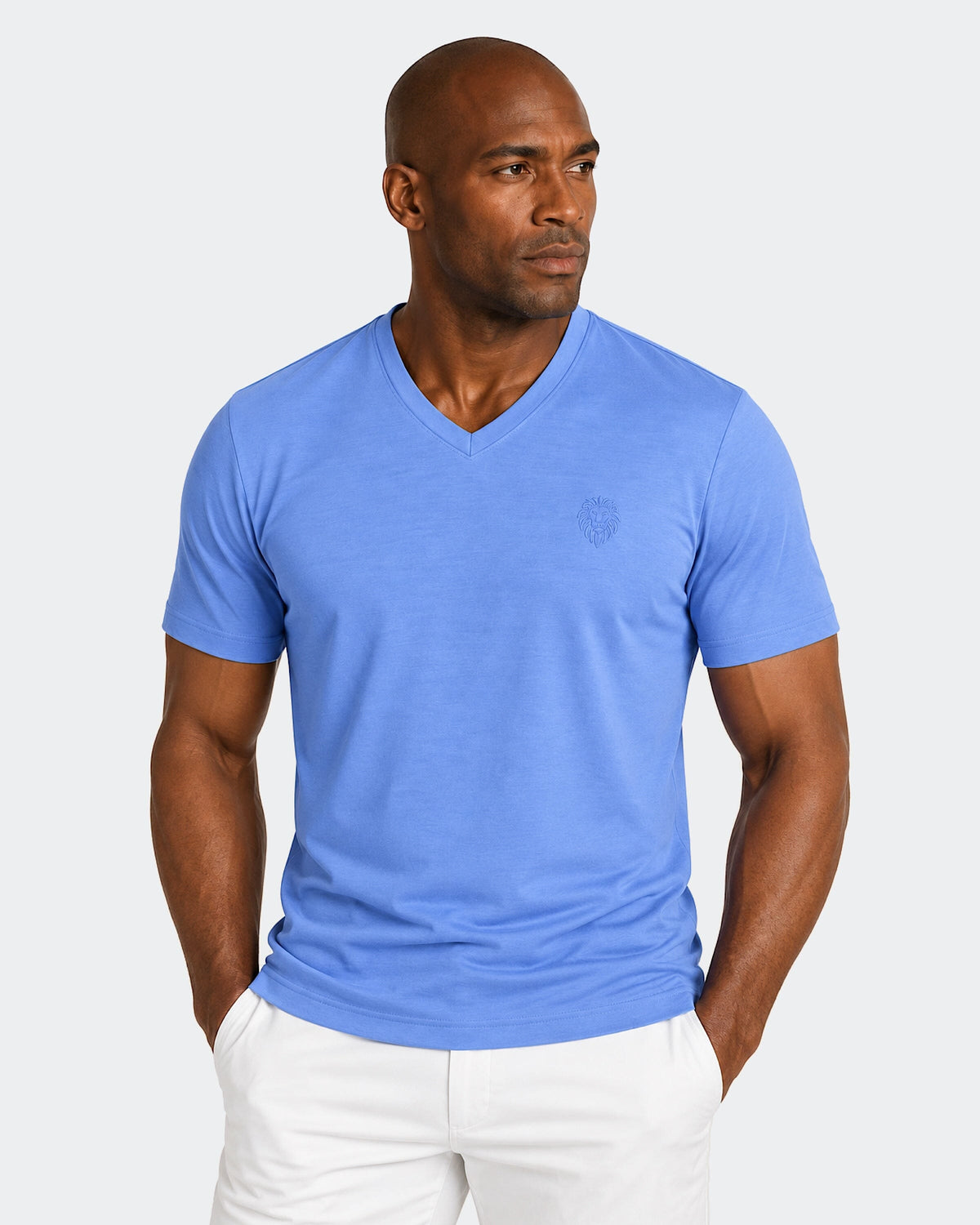 V-Neck SS Short Sleeve Unknown 0011 Blue