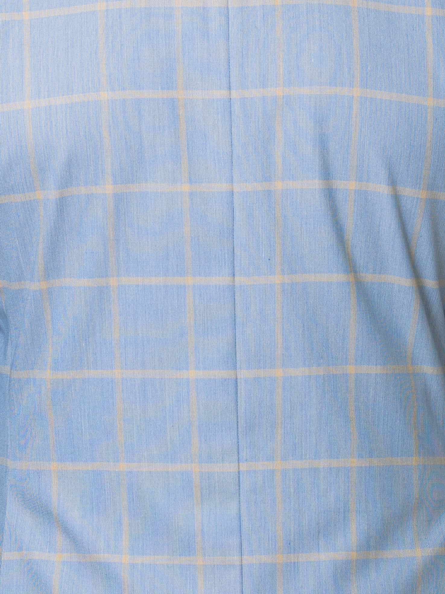 Blazer Socrate Check Light Blue