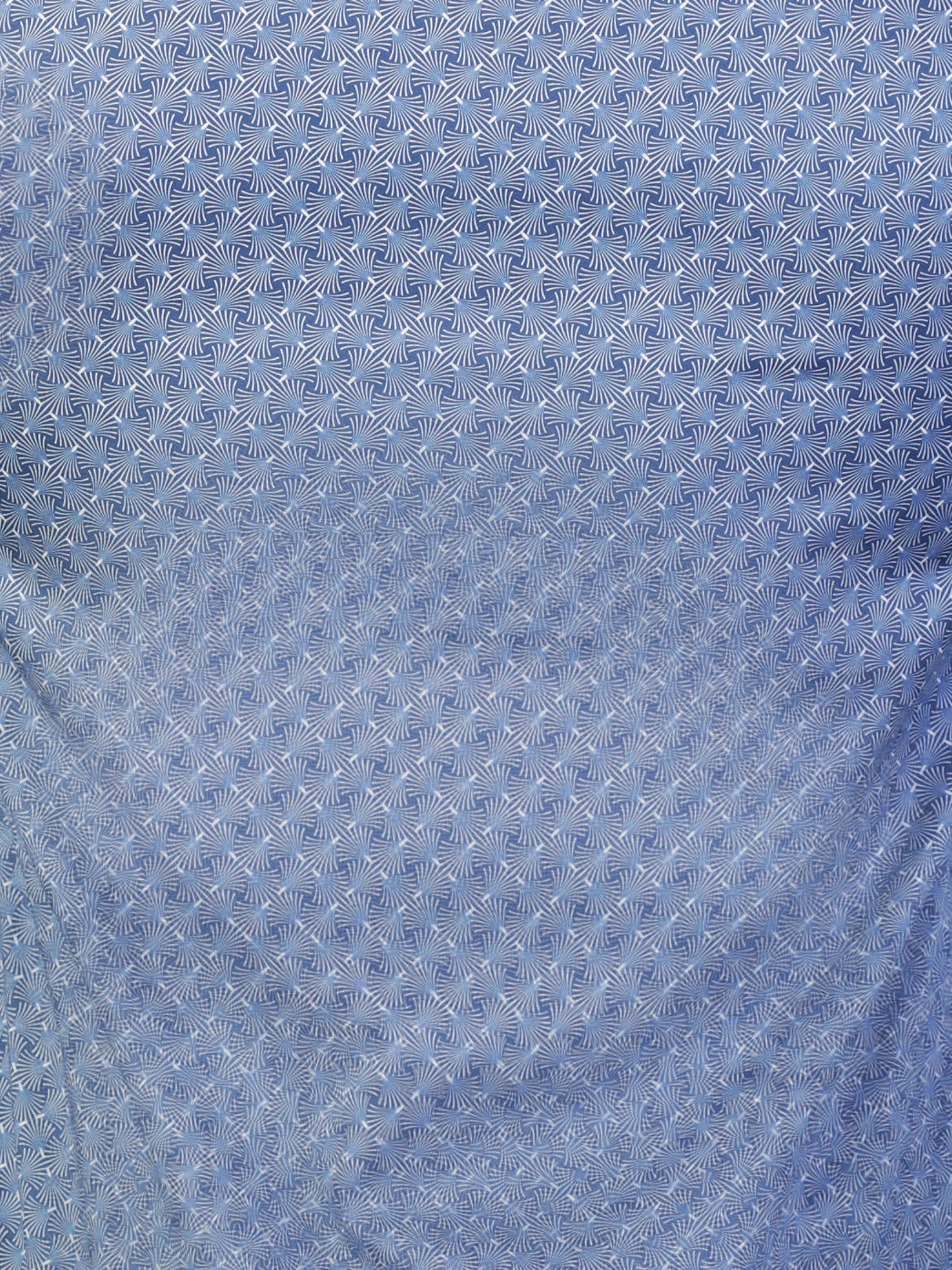 Eins Fan Blue