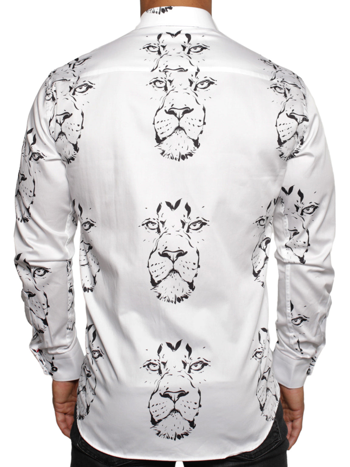 Fibonacci LionDrawing White