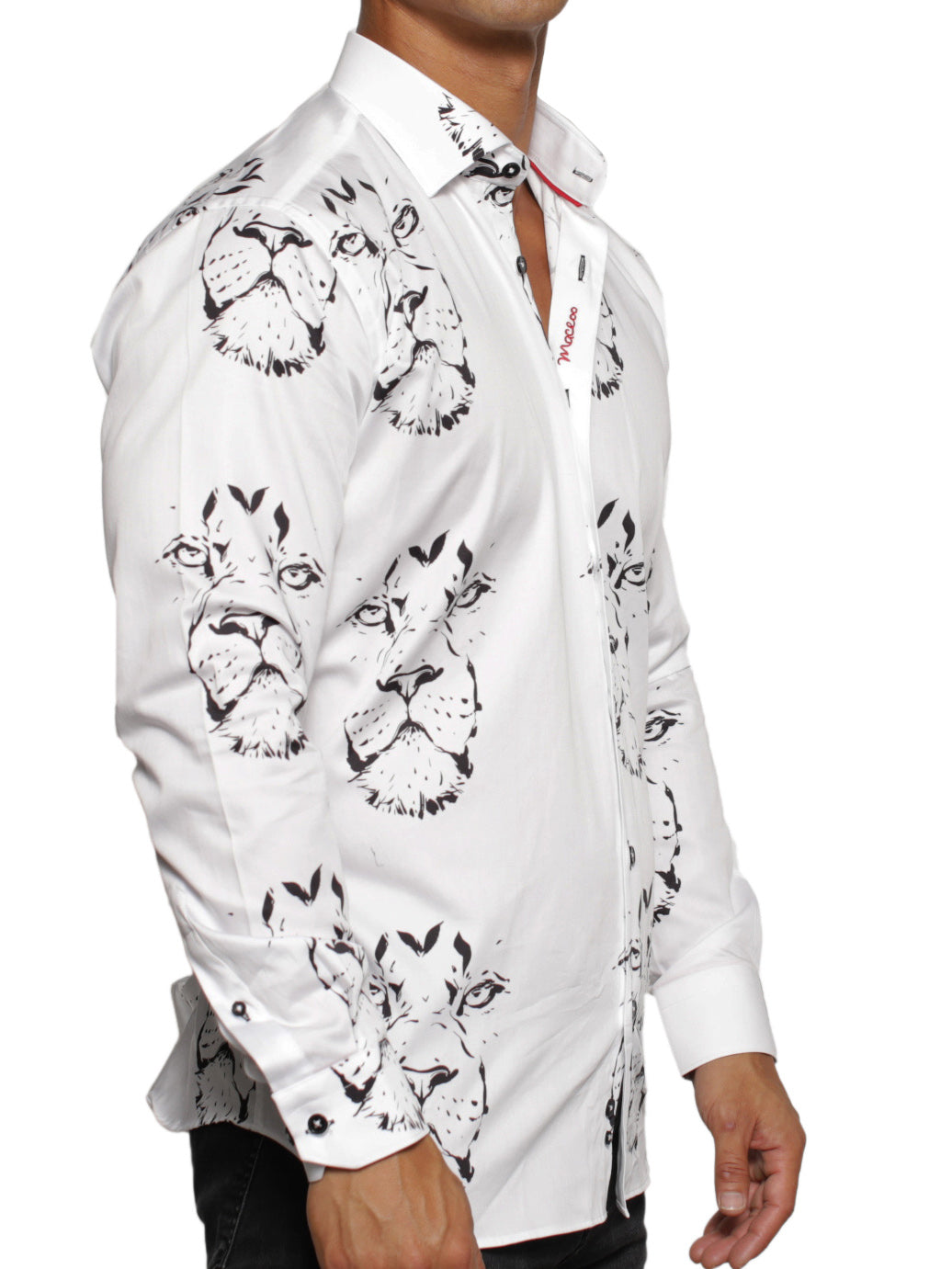 Fibonacci LionDrawing White