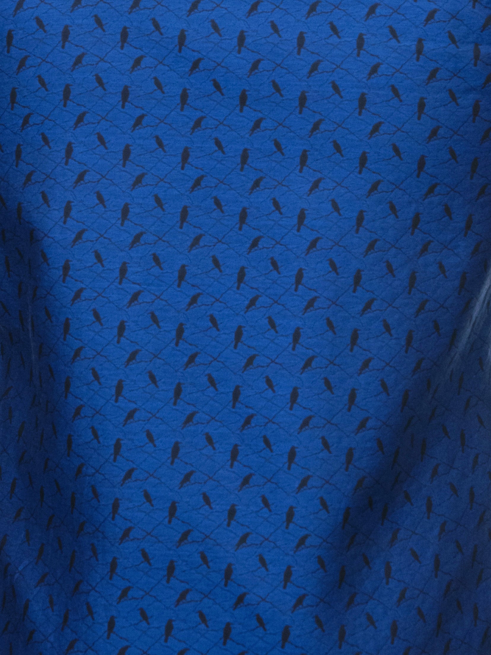 Fibonacci Calmbird Black