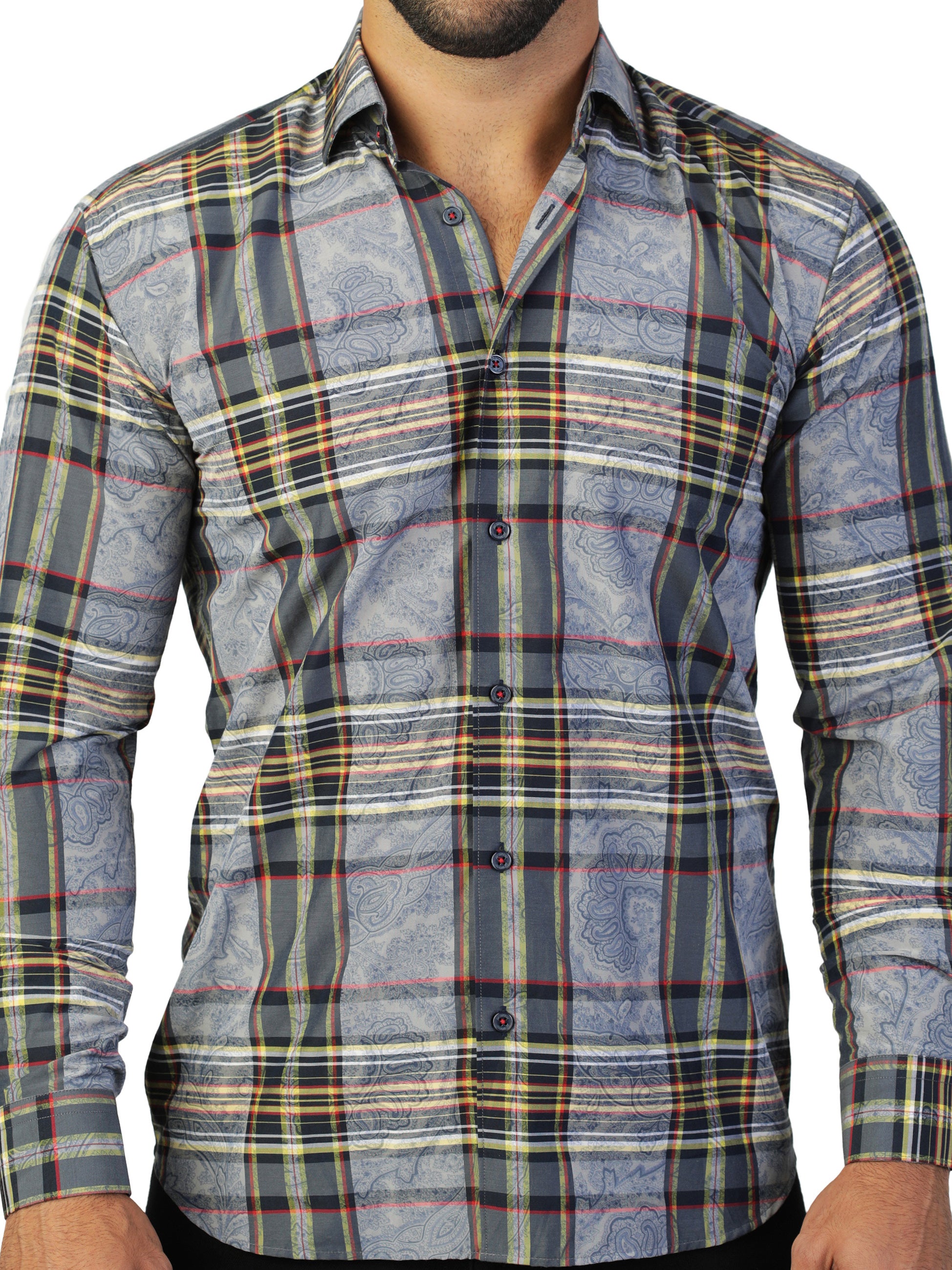 Fibonacci CheckPaisley Blue
