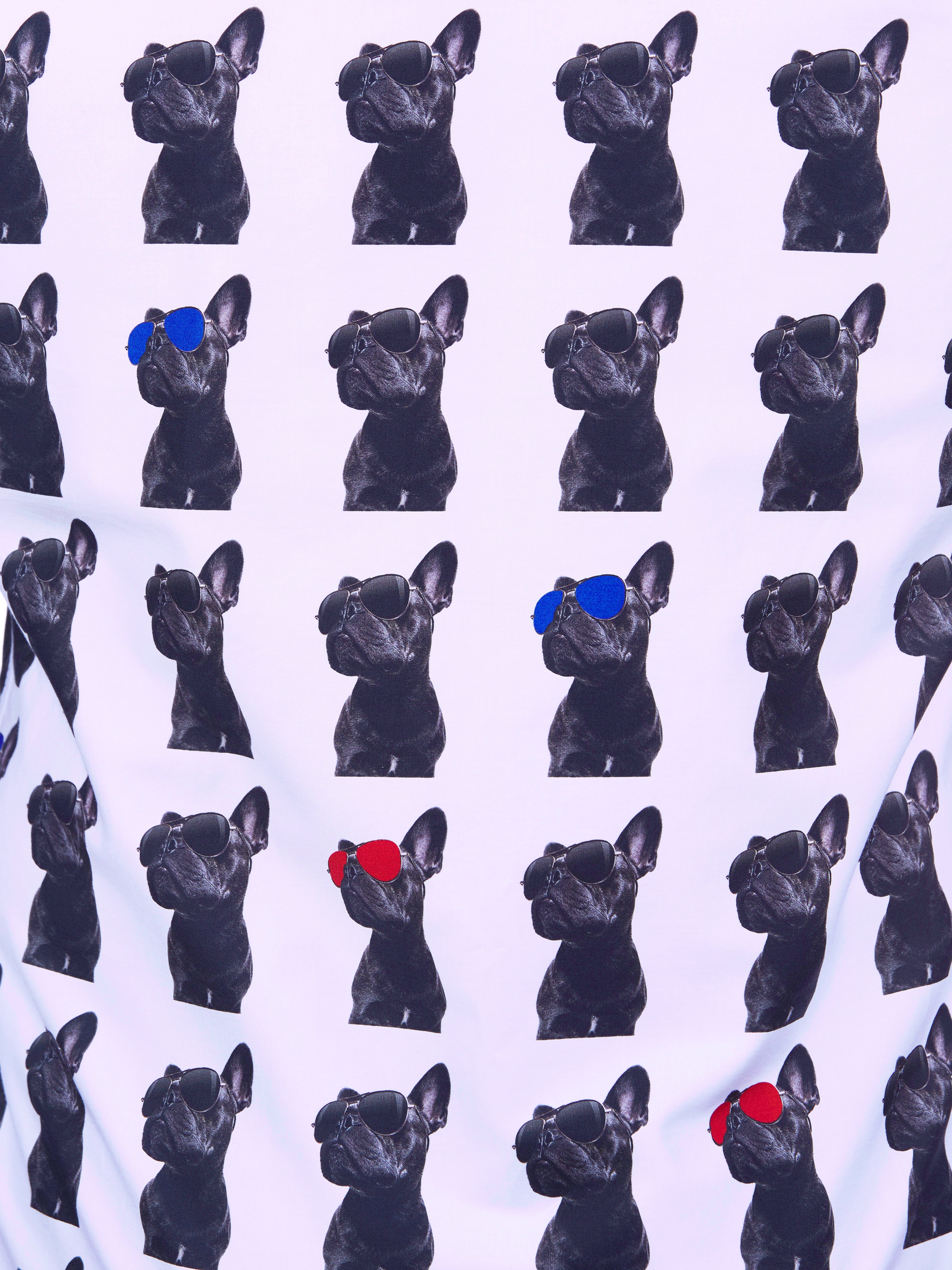 Fibonacci Cooldog White