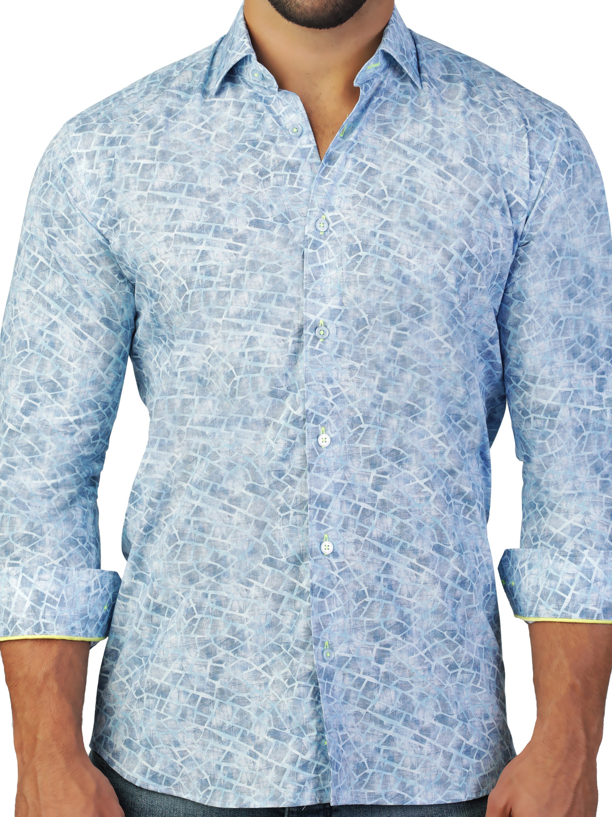 Fibonacci Giraffe Blue