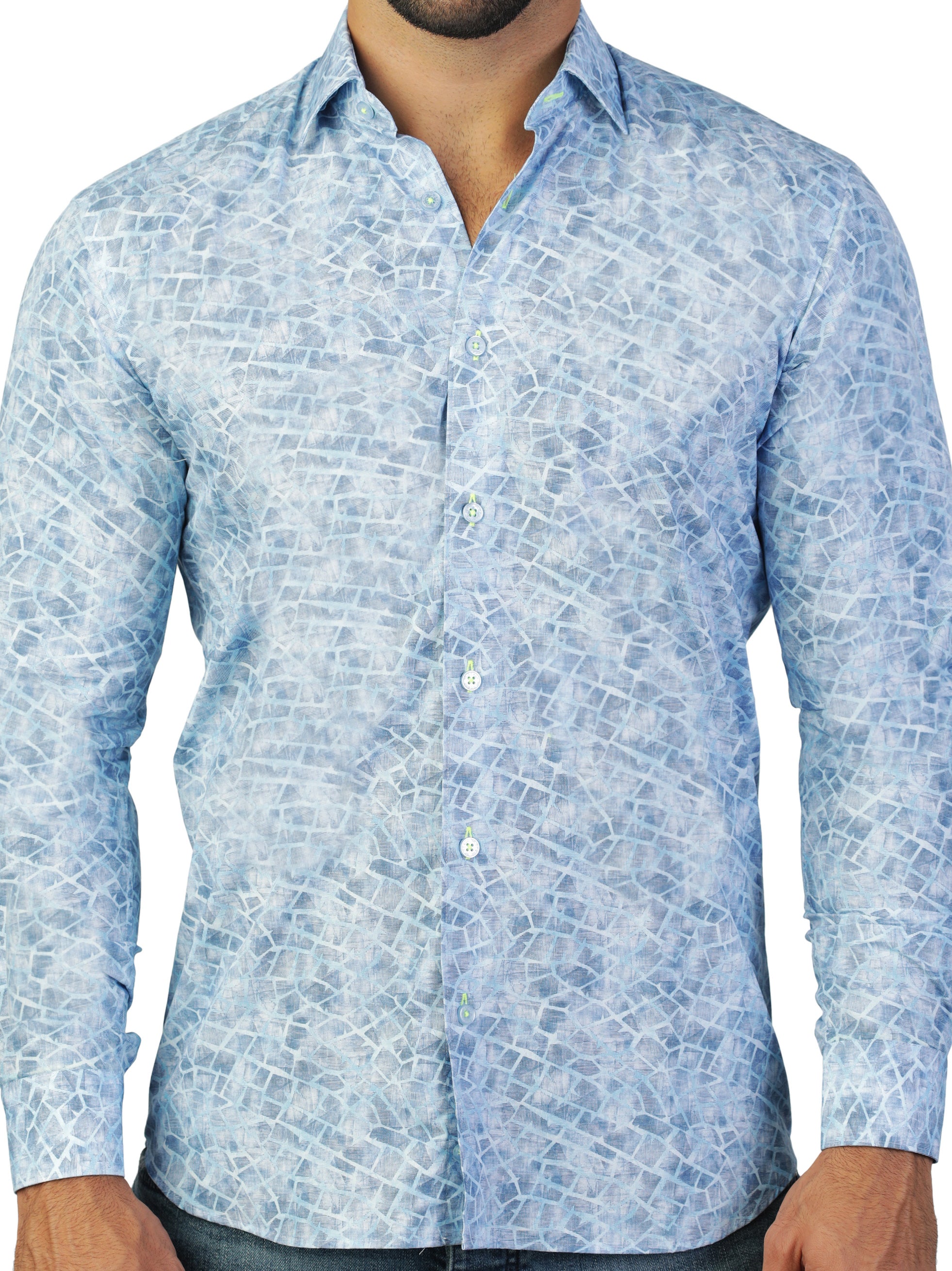 Fibonacci Giraffe Blue