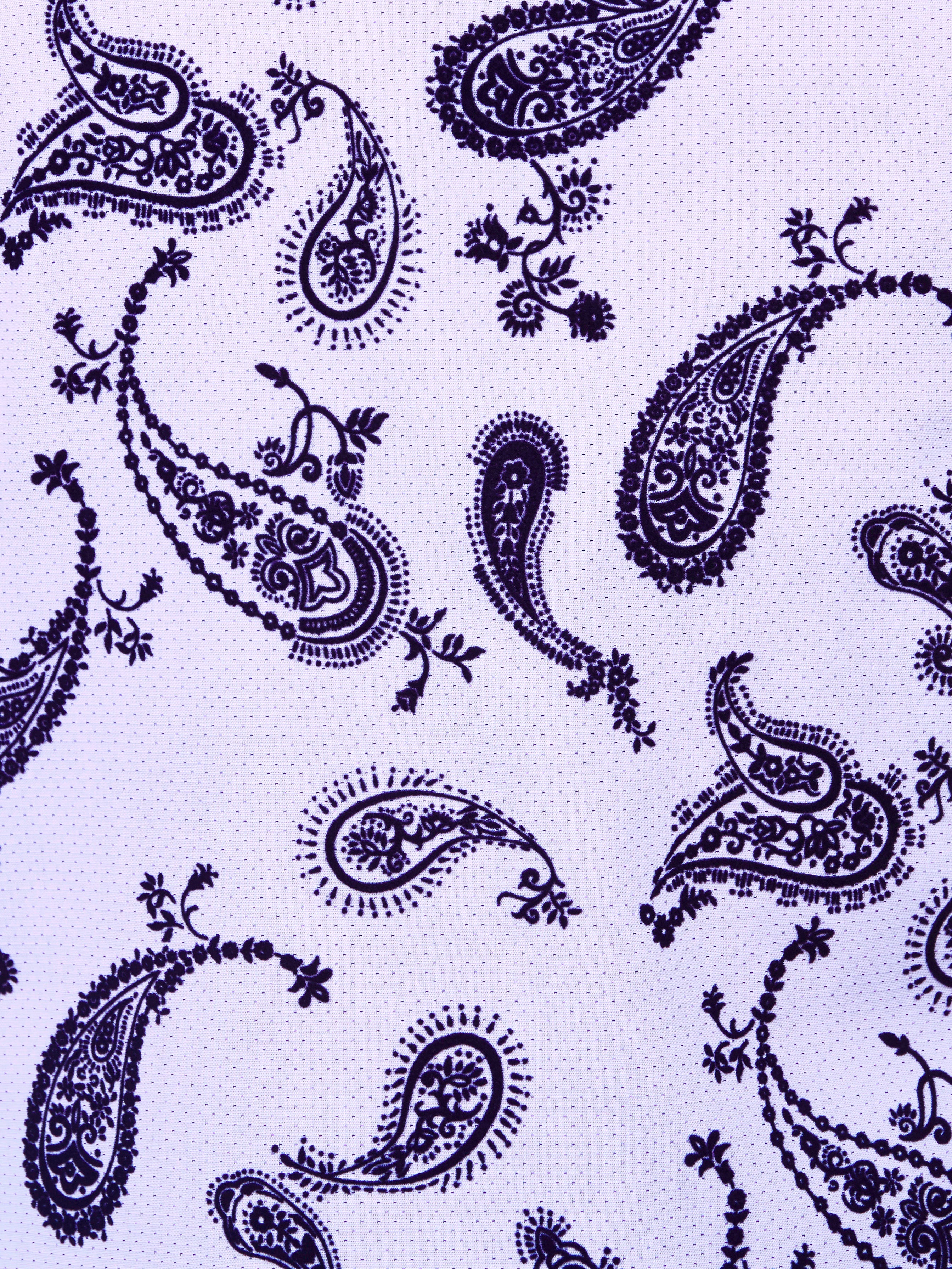 Fibonacci Paisle flock White