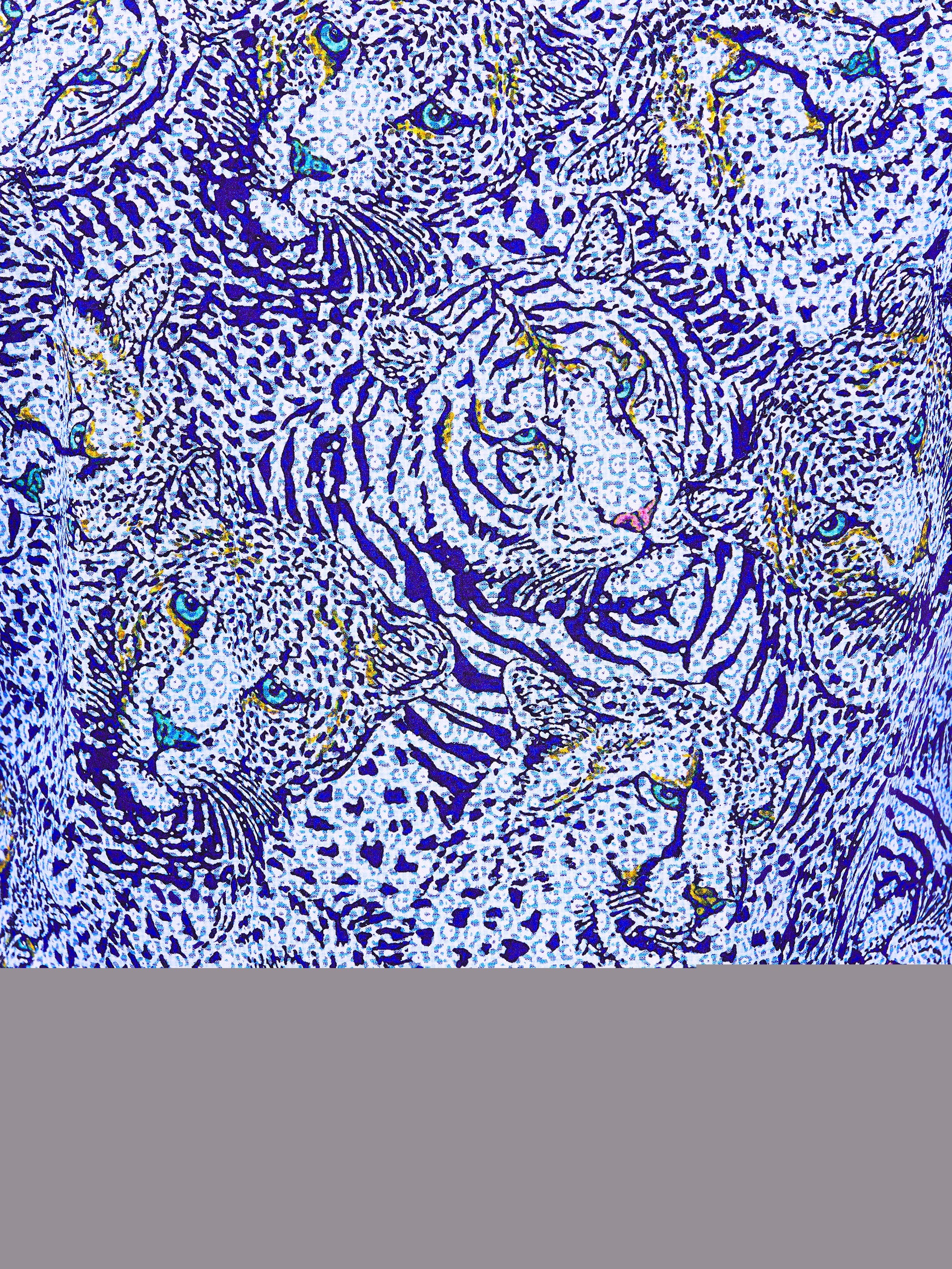 Fibonacci Tiger Blue
