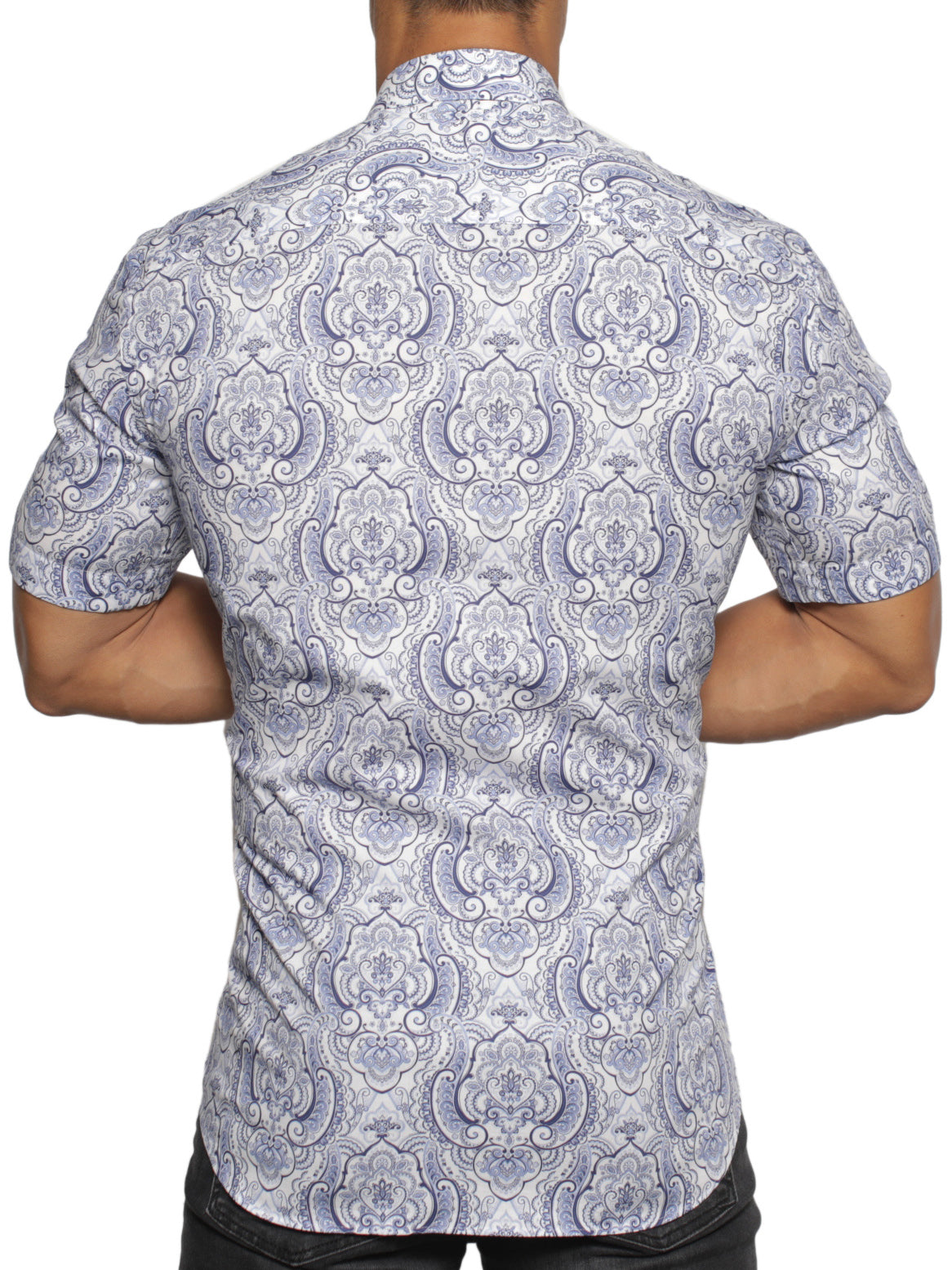 Galileo Royal White