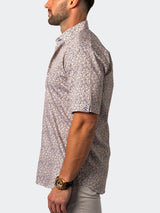 Galileo Clementine Brown View-5