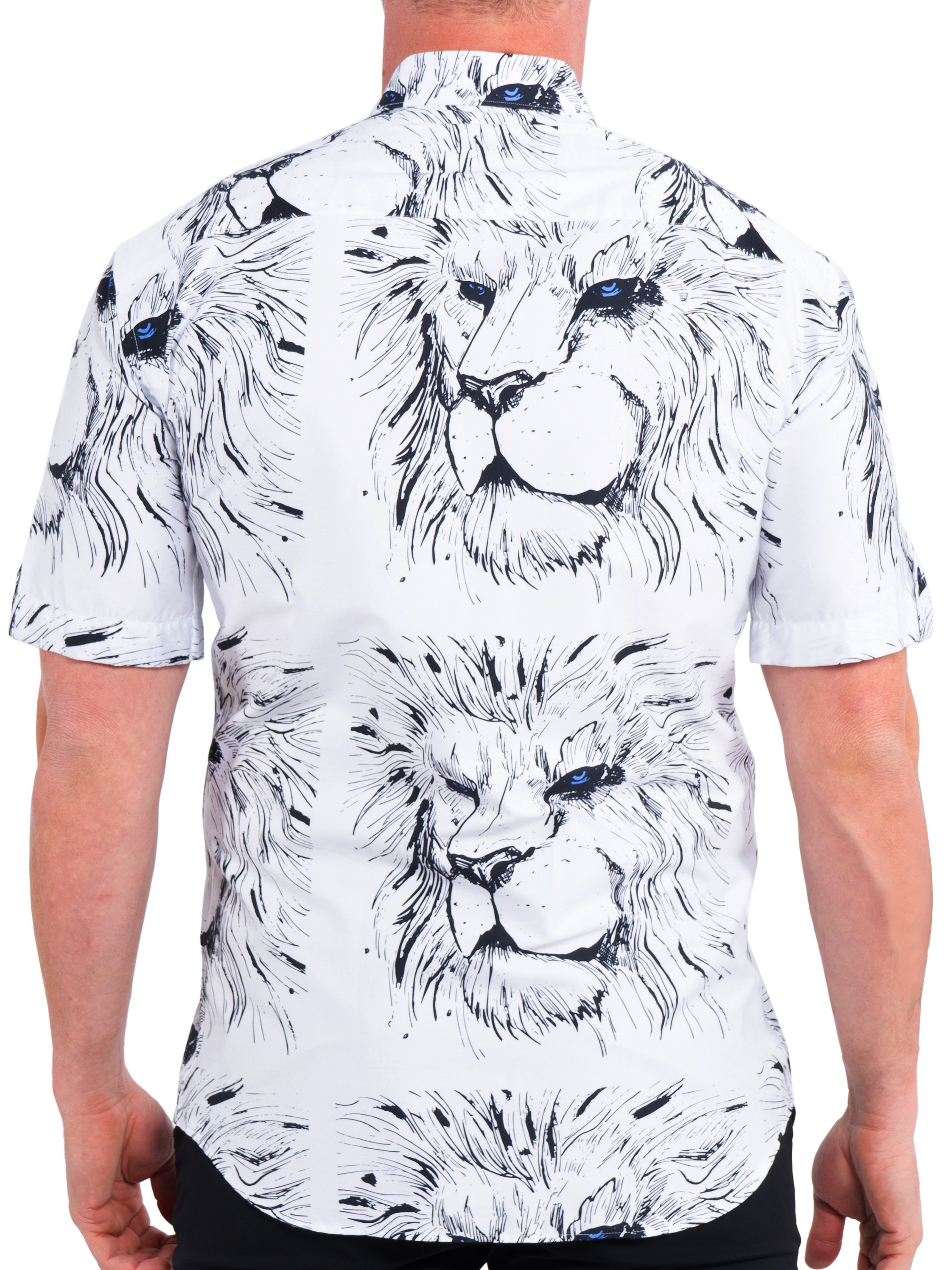 Galileo Lion White
