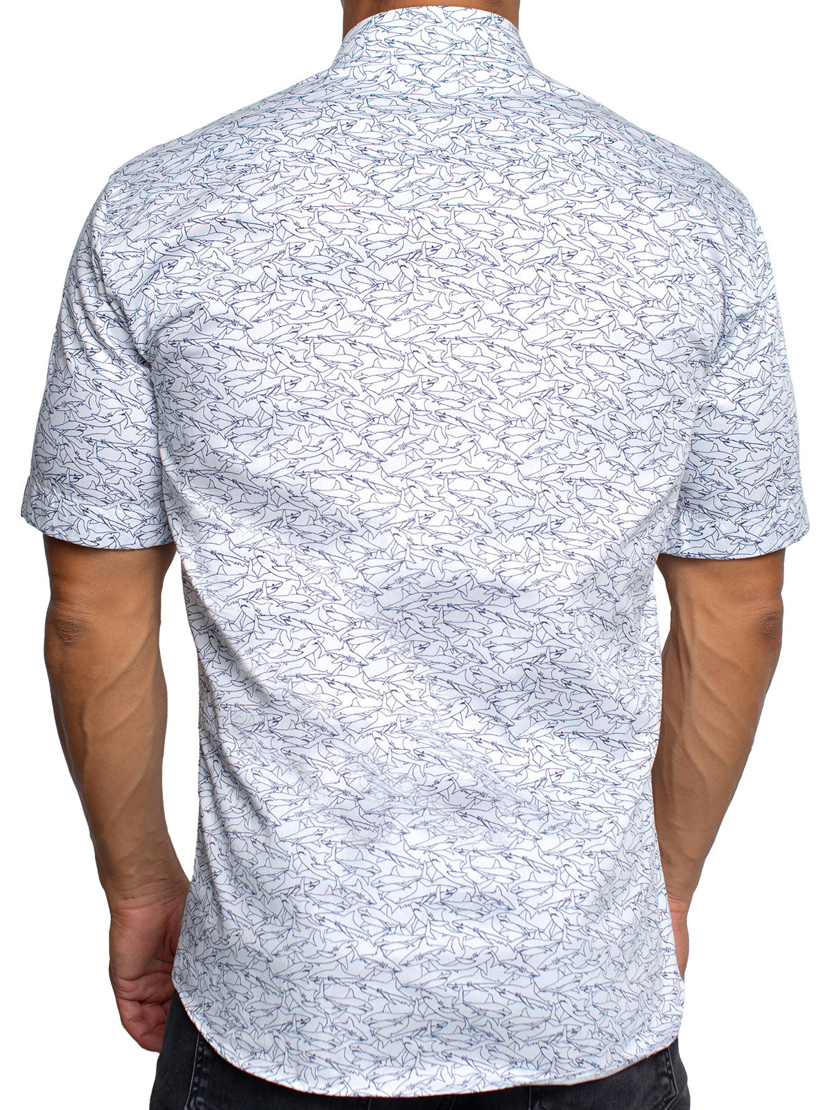 Galileo SharkAttack White