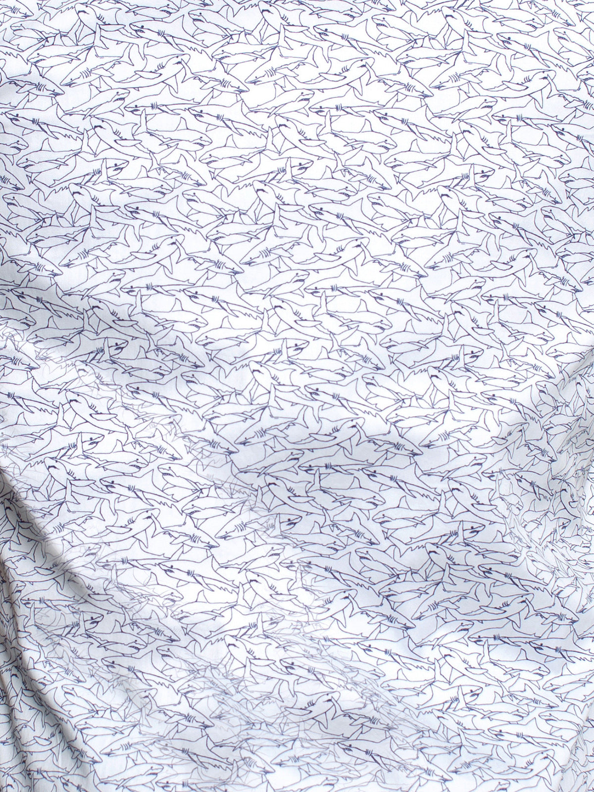 Galileo SharkAttack White