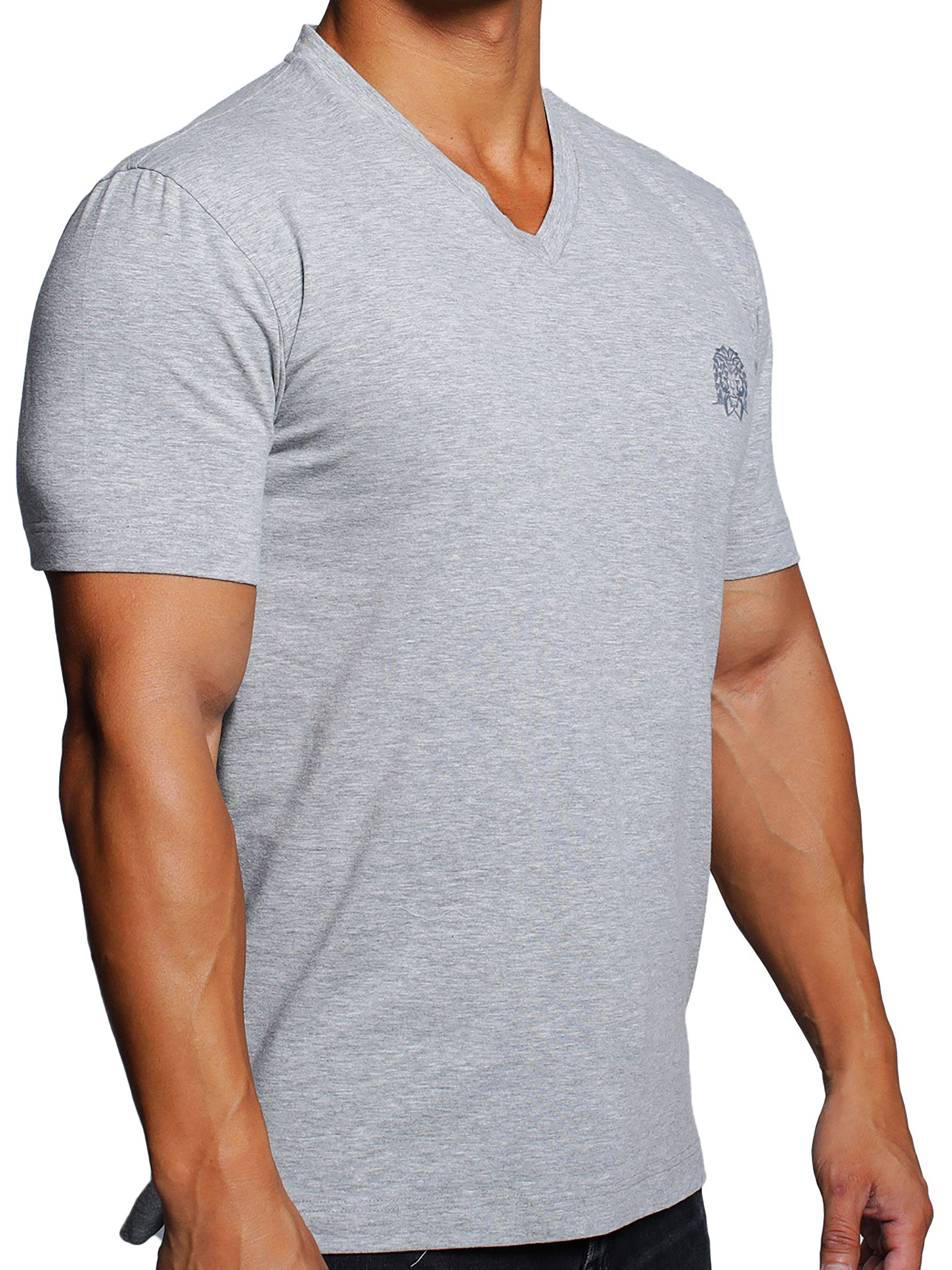 Vivaldi Mono Grey V-Neck Tee