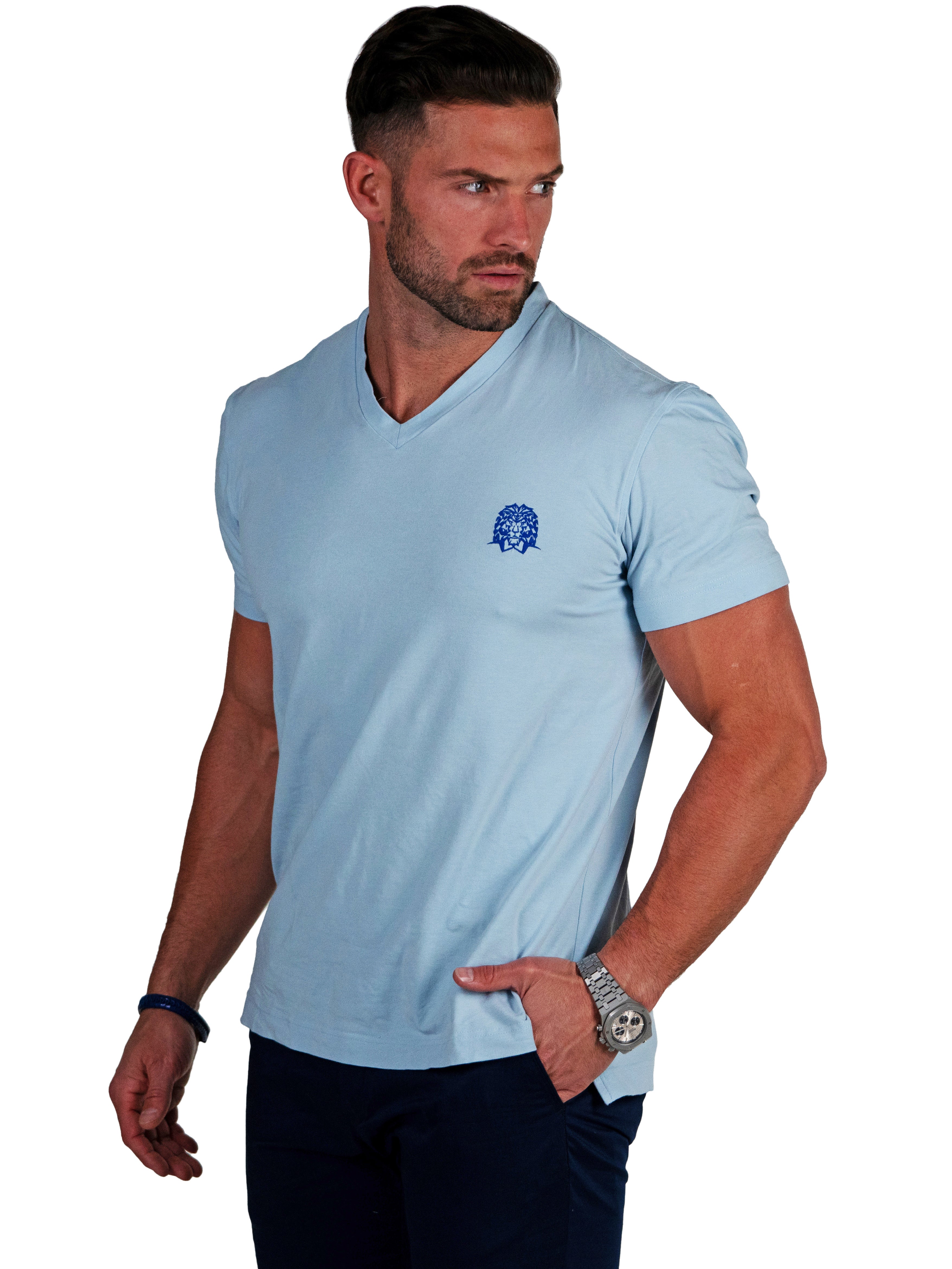 V-Neck VivaldiMono Light Blue