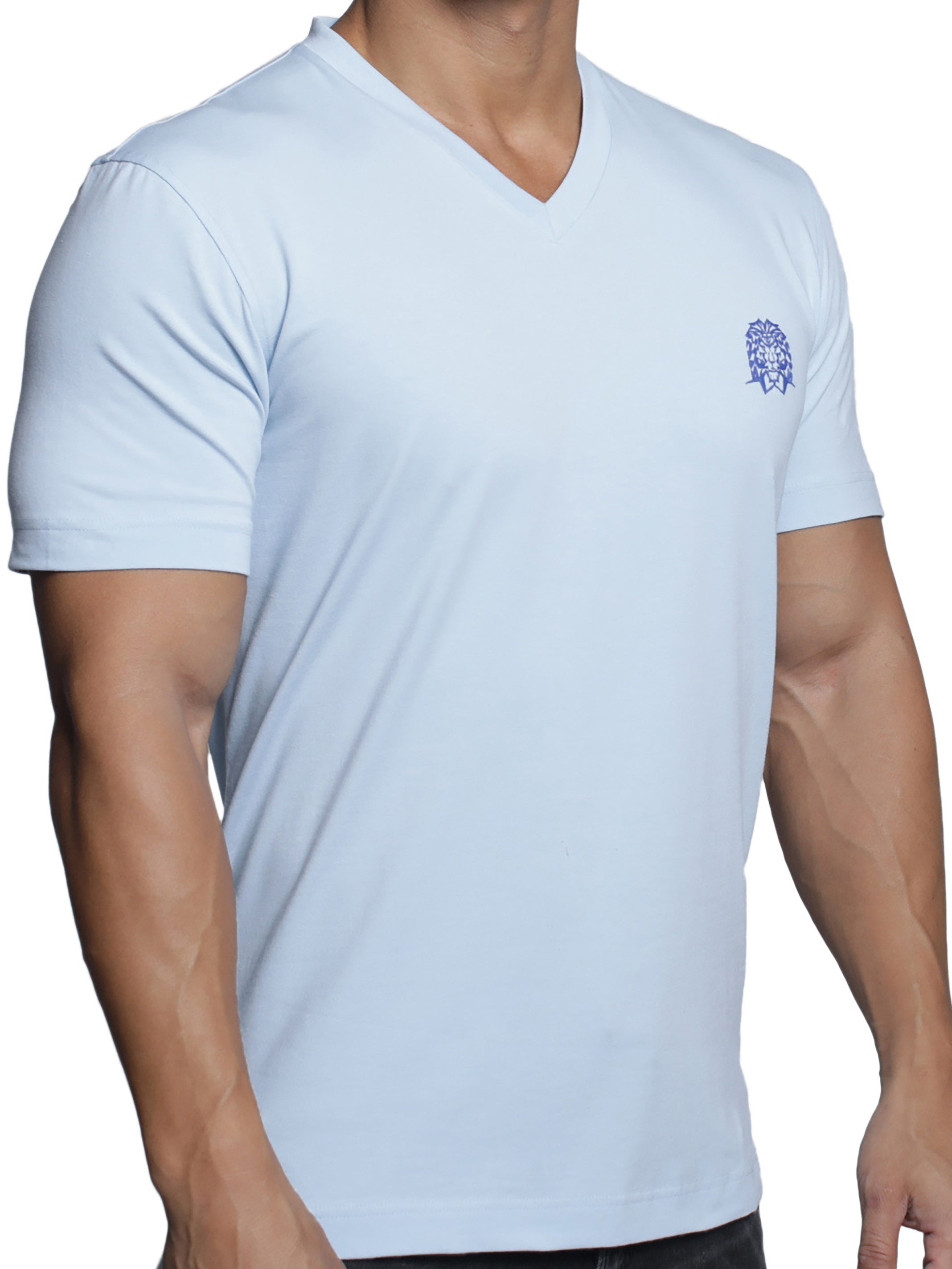 V-Neck VivaldiMono Light Blue