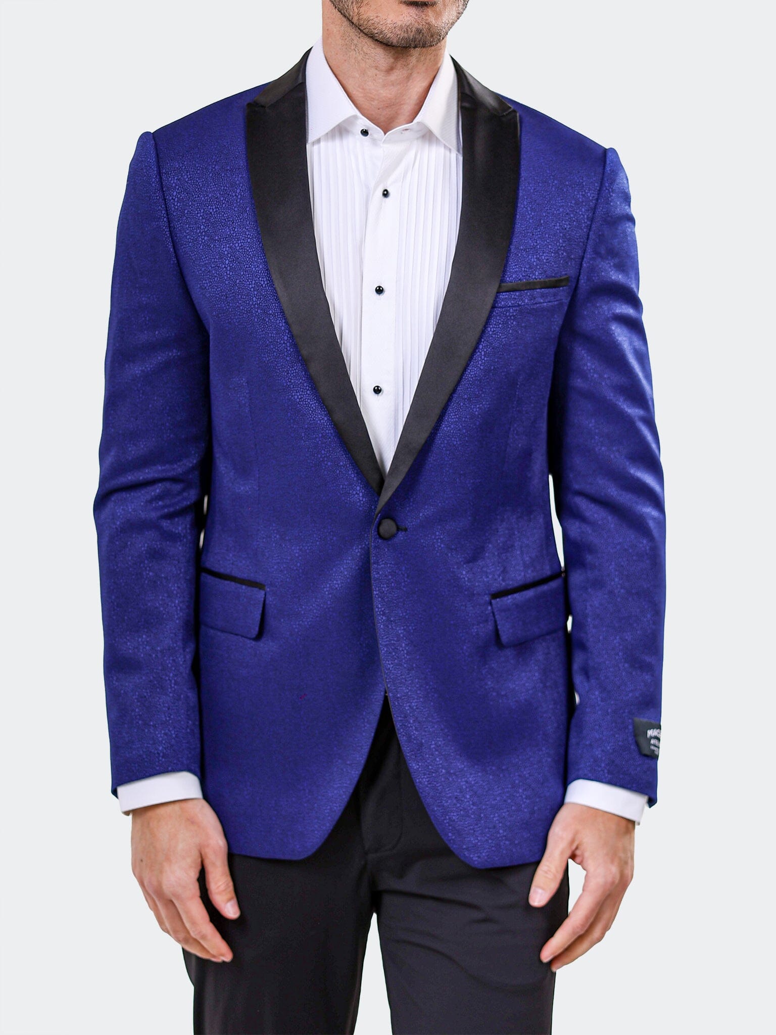 Blazer Tesla  Ascension2170 Blue