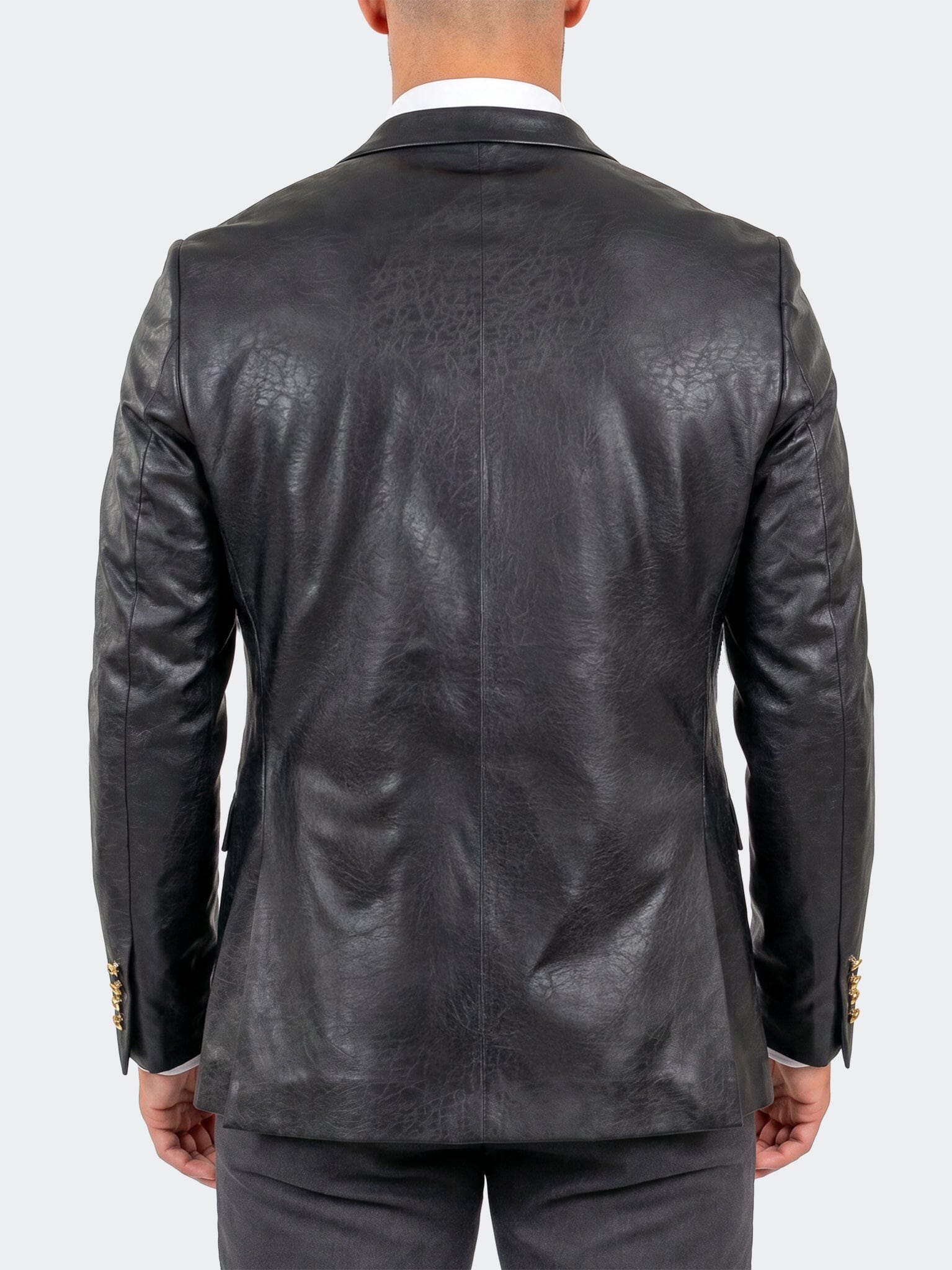 Blazer Tesla  Ascension2196 Black