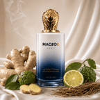 Gentleman Fury Homme Parfum