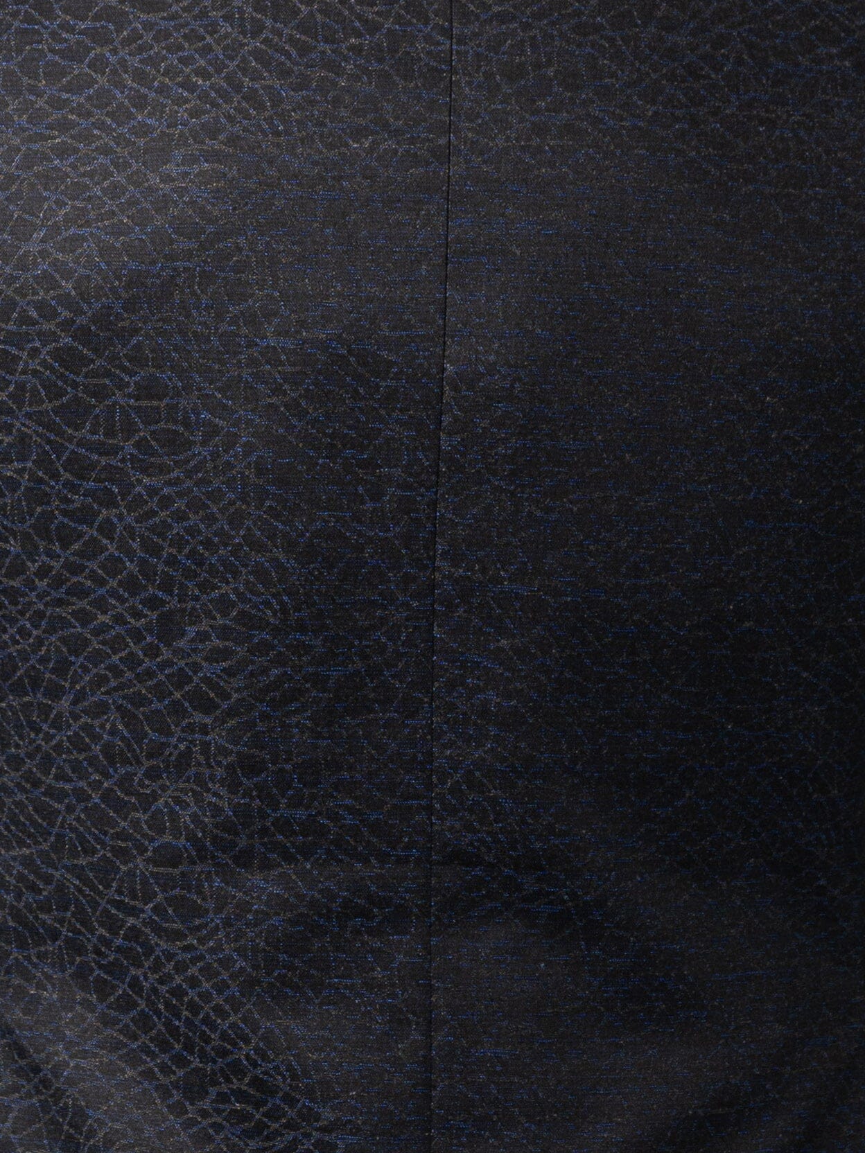 Blazer Socrate Veins Black