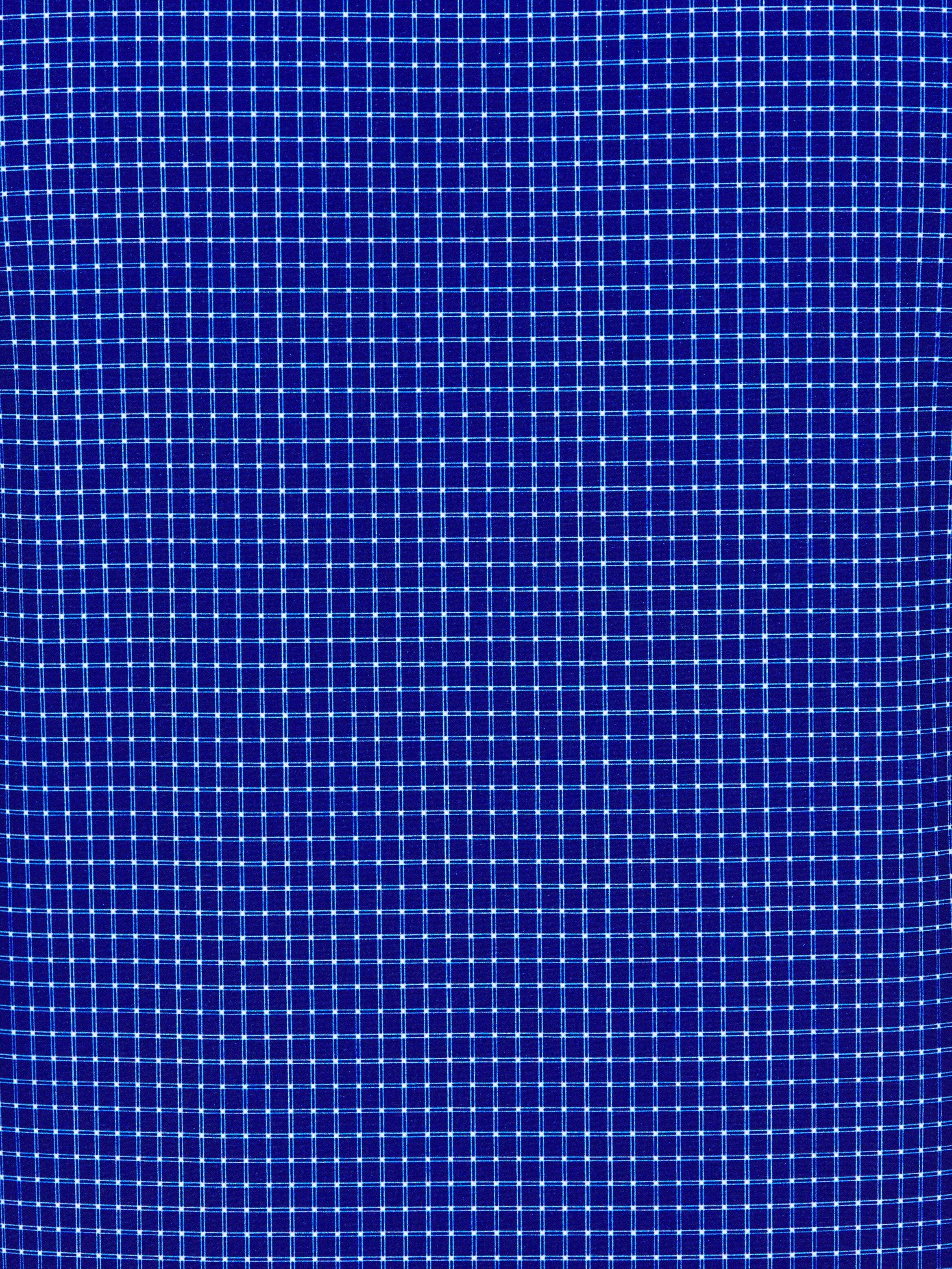 Eins Micro Check Blue