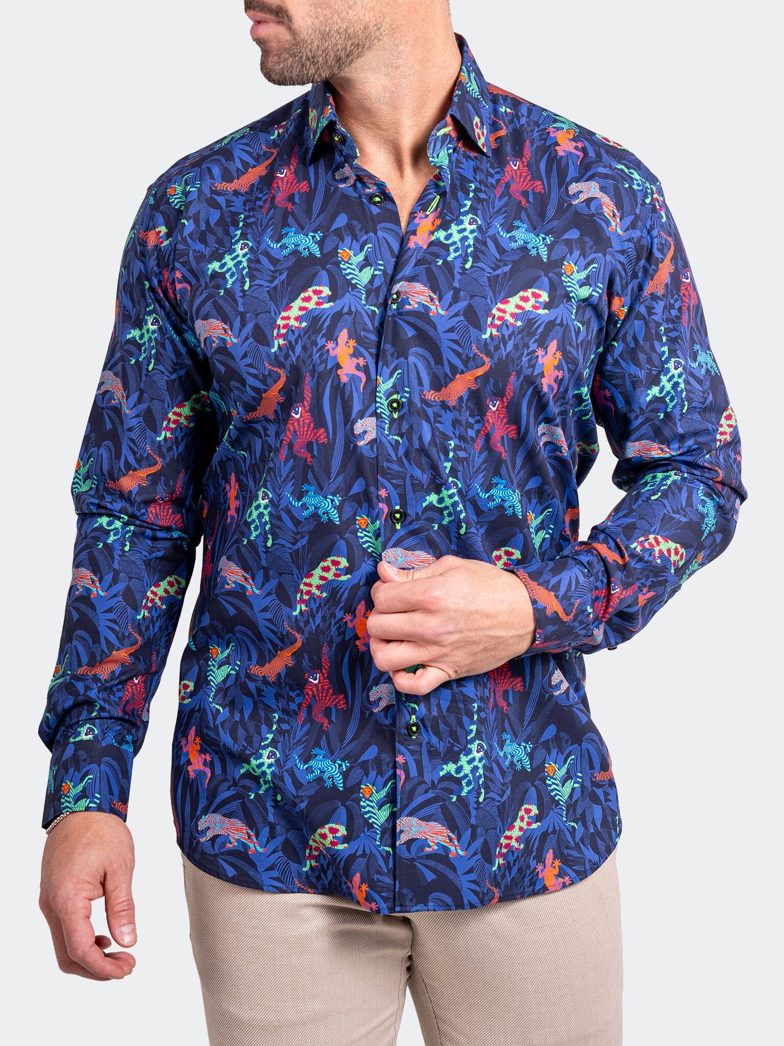 Fibonacci Ascension0213 Blue