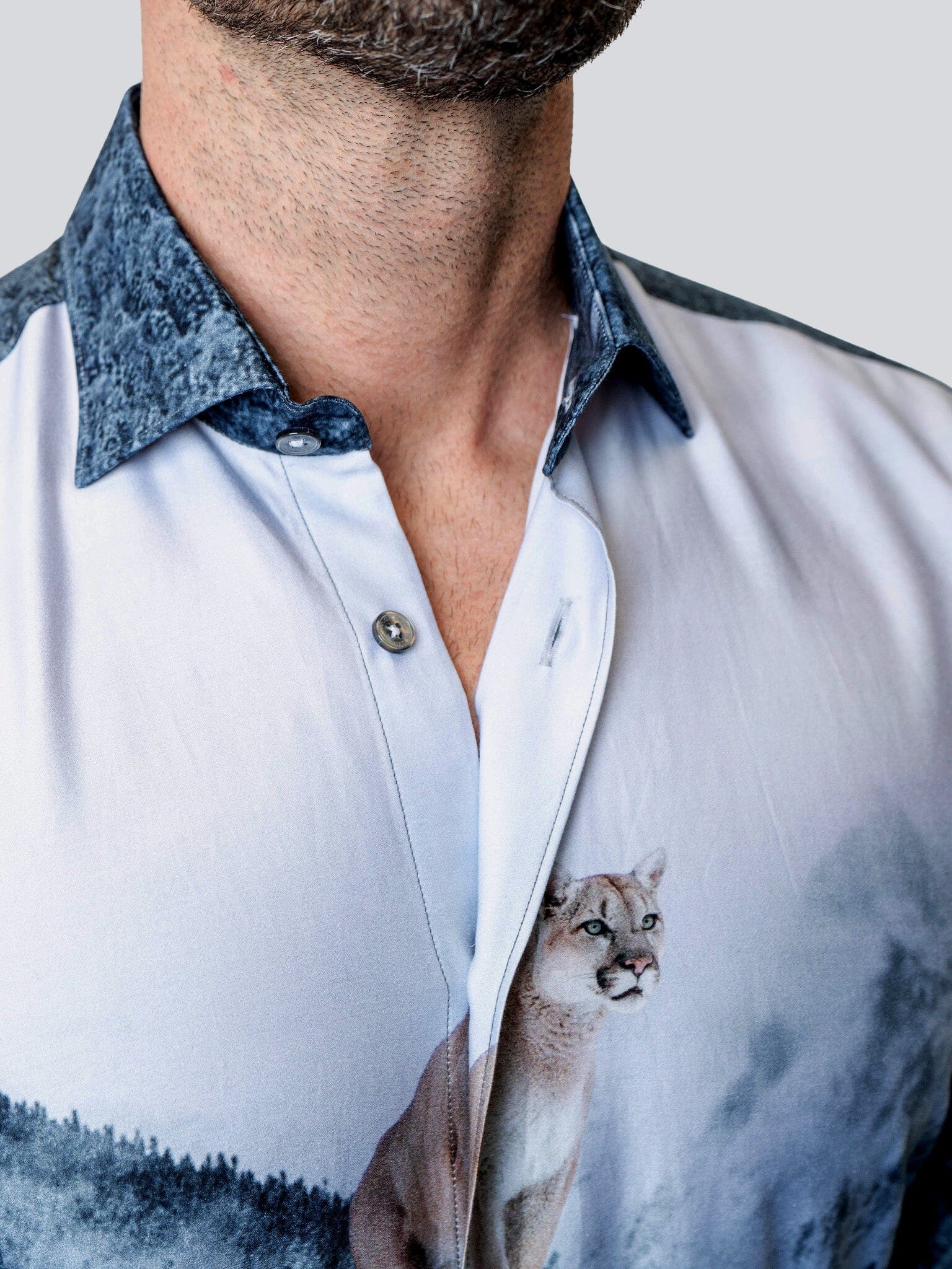Fibonacci Cougar Blue