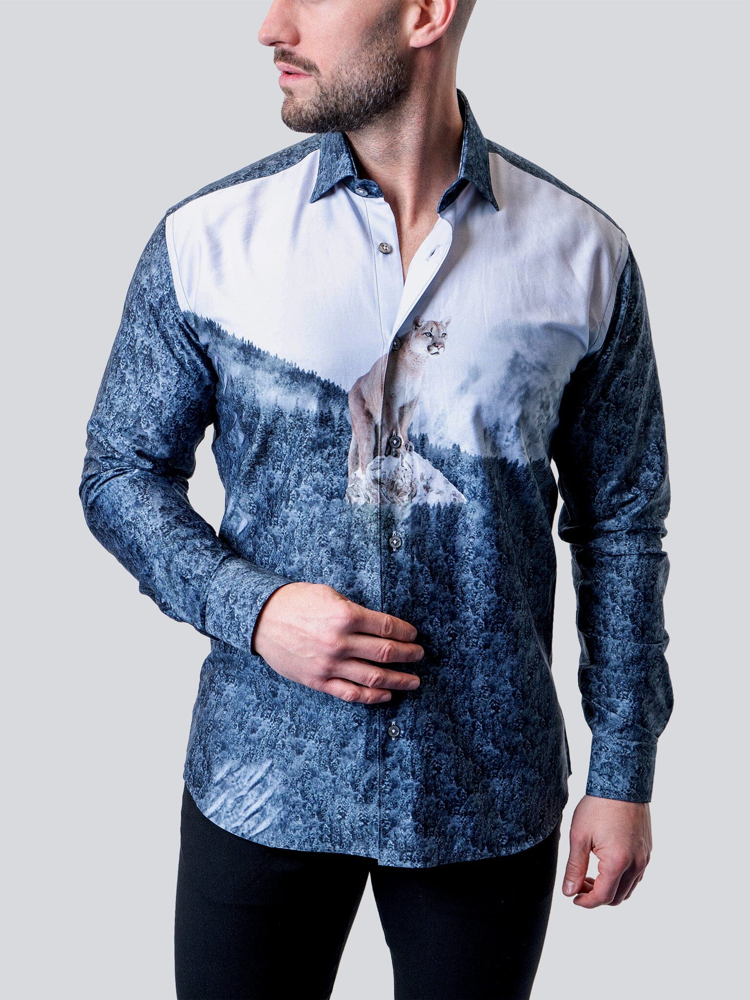 Fibonacci Cougar Blue