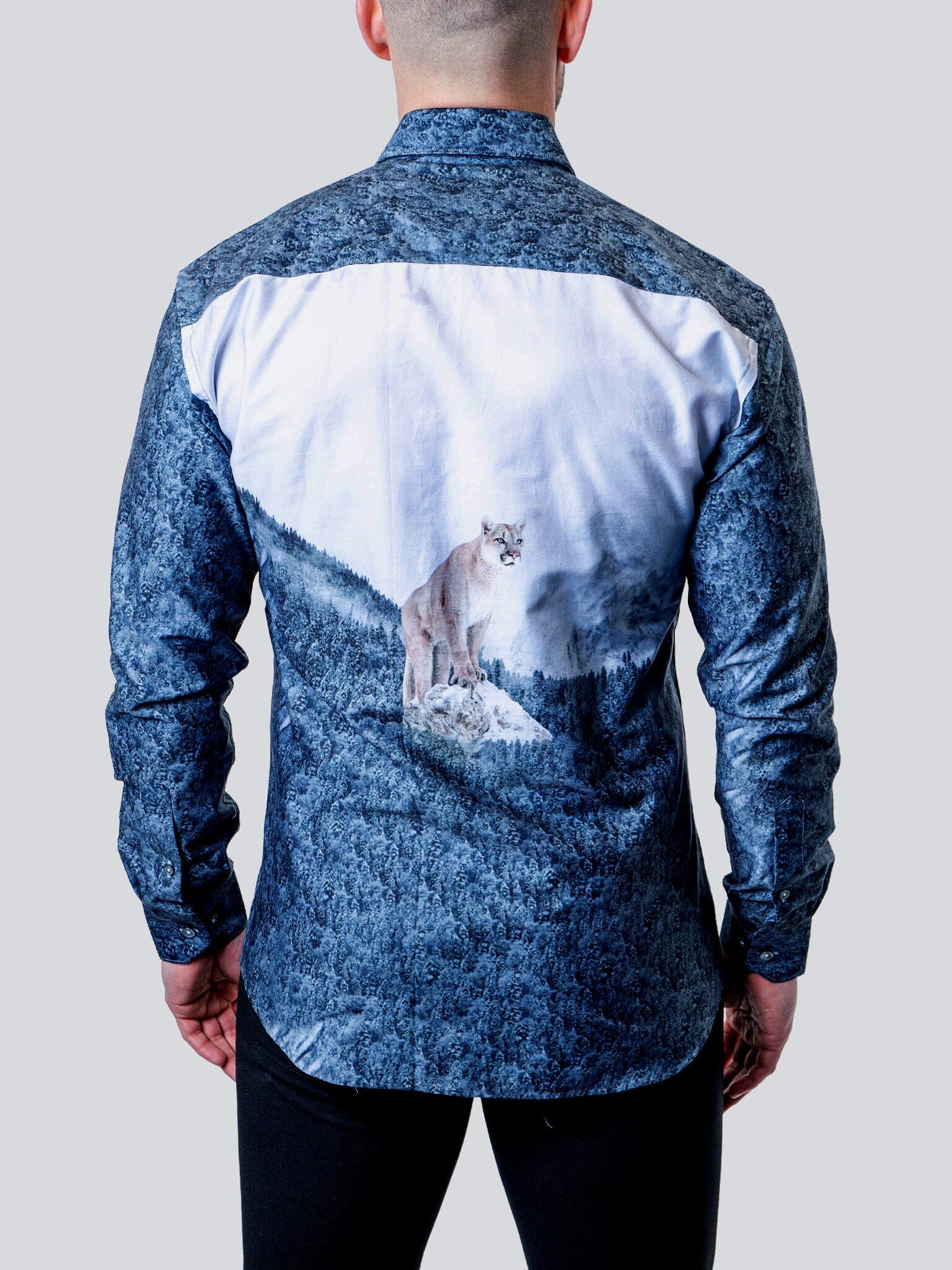 Fibonacci Cougar Blue