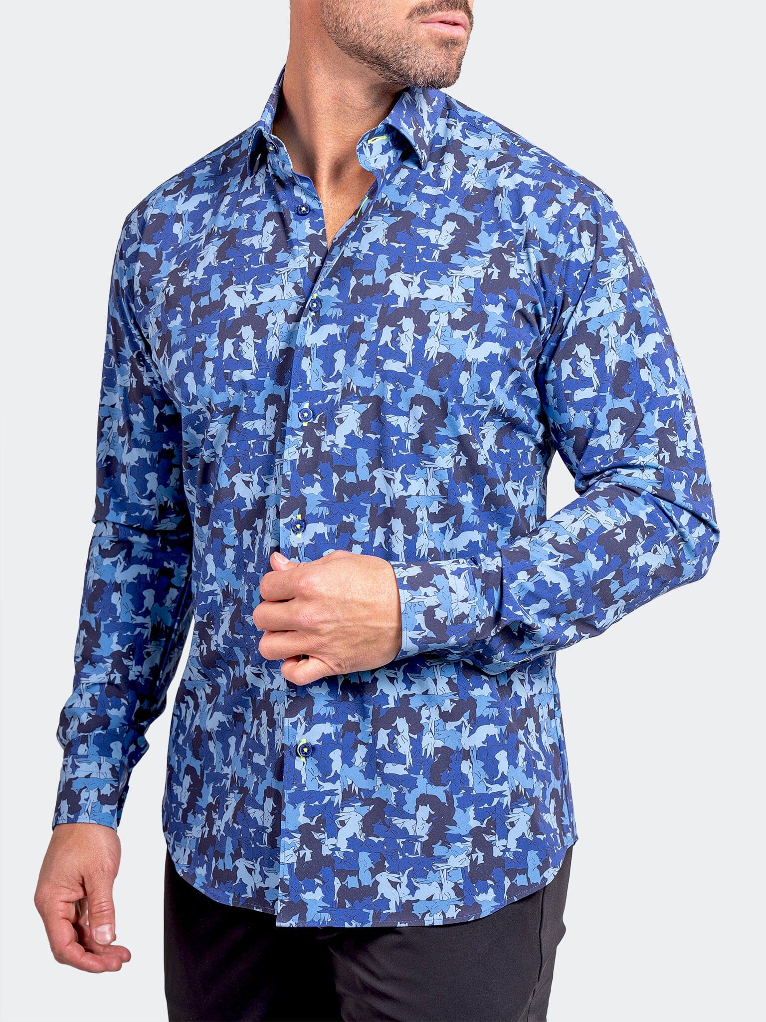 Fibonacci StretchAscension0228 Blue