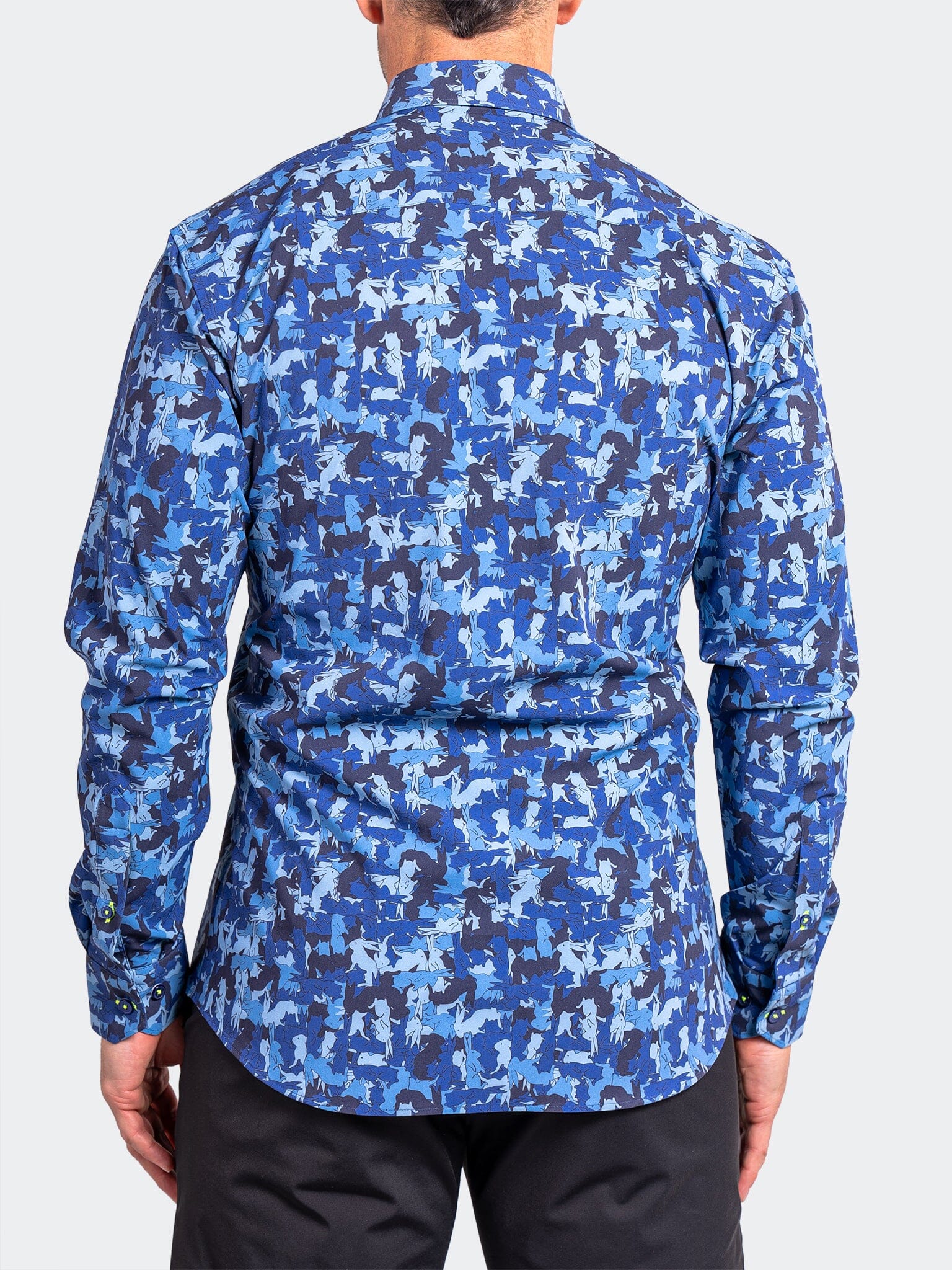 Fibonacci StretchAscension0228 Blue