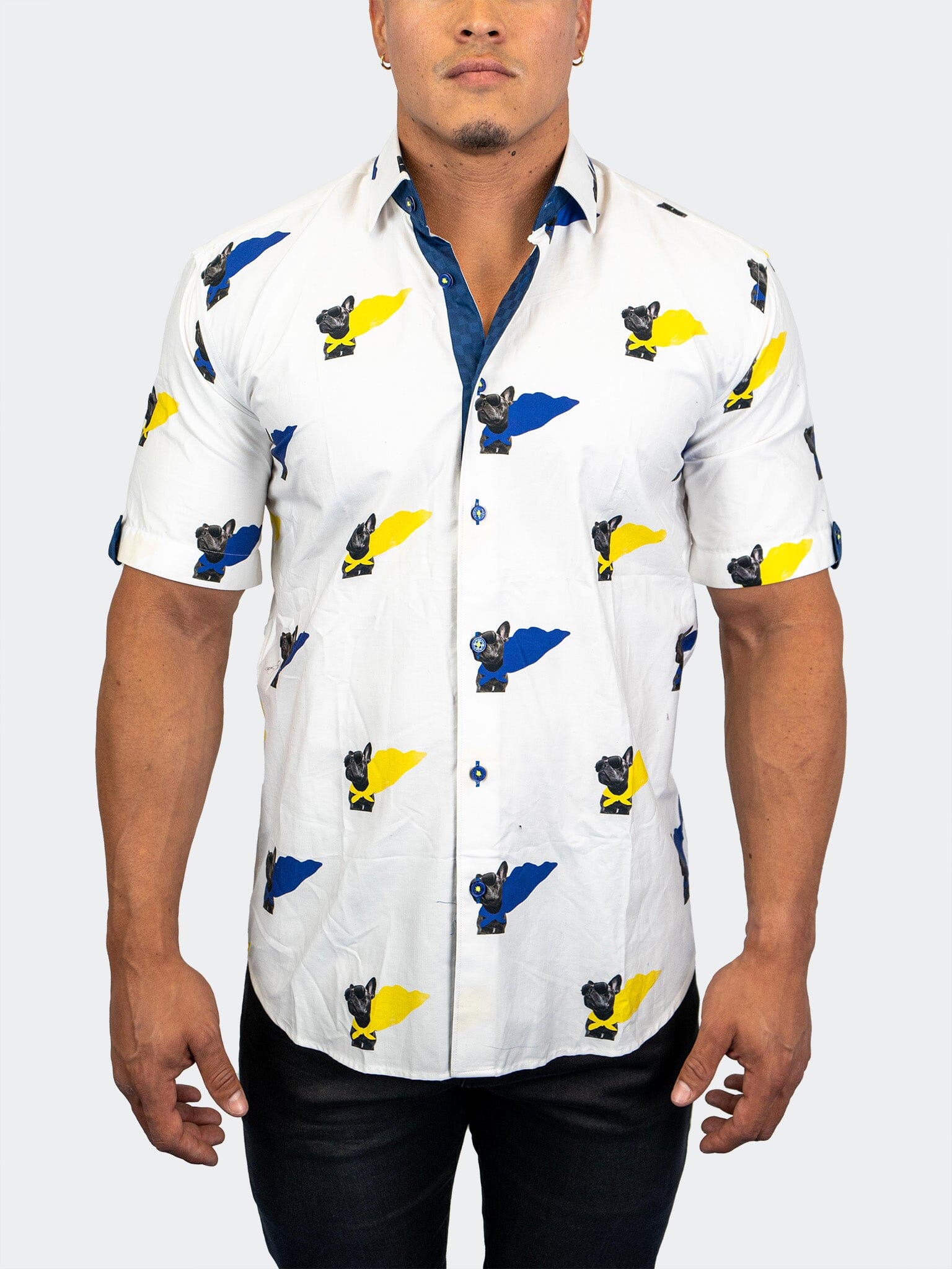 Galileo DogHero White