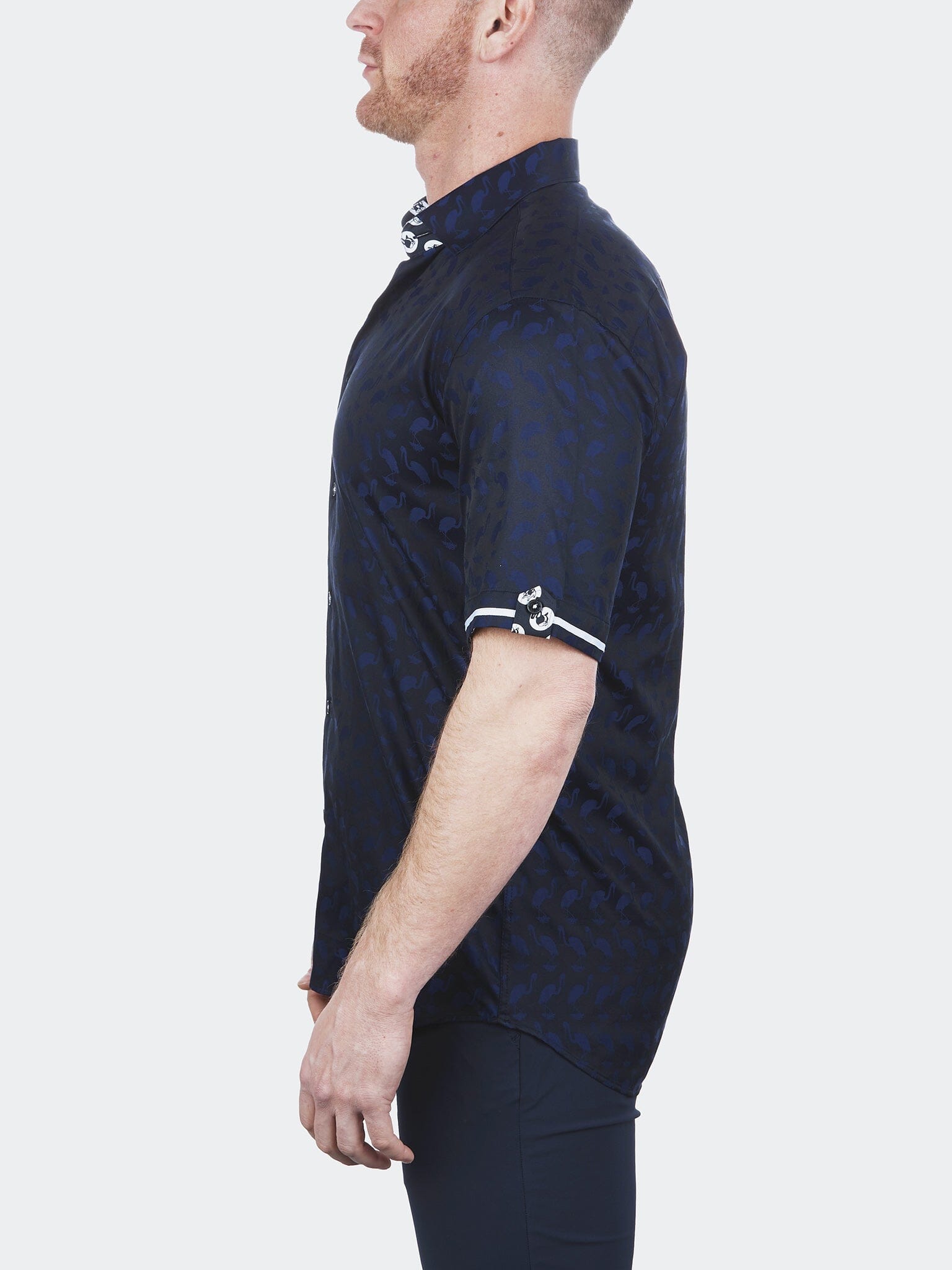 Galileo Flamingo  Blue